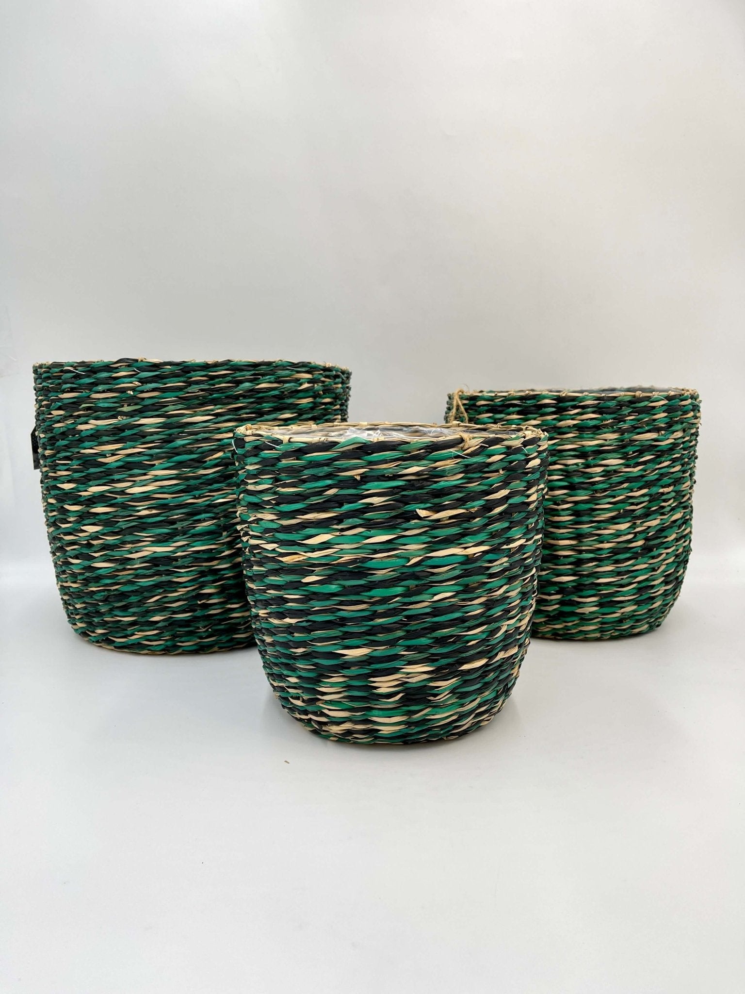 Indoor Plant Basket- Viviana Woven Plant Pot - Jungle Green