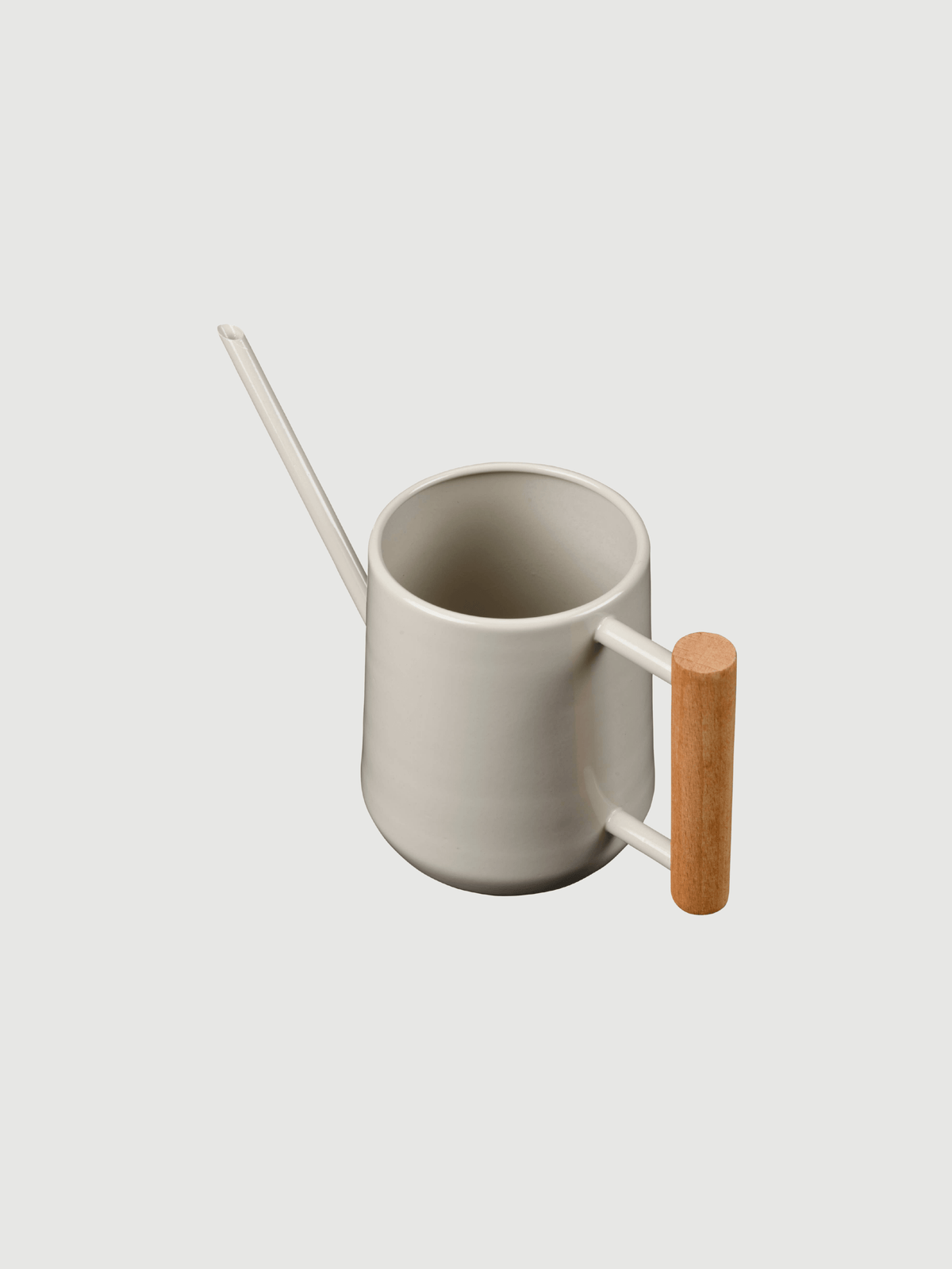 Indoor Small Metal Watering Can | 700ml - Rebel Plants