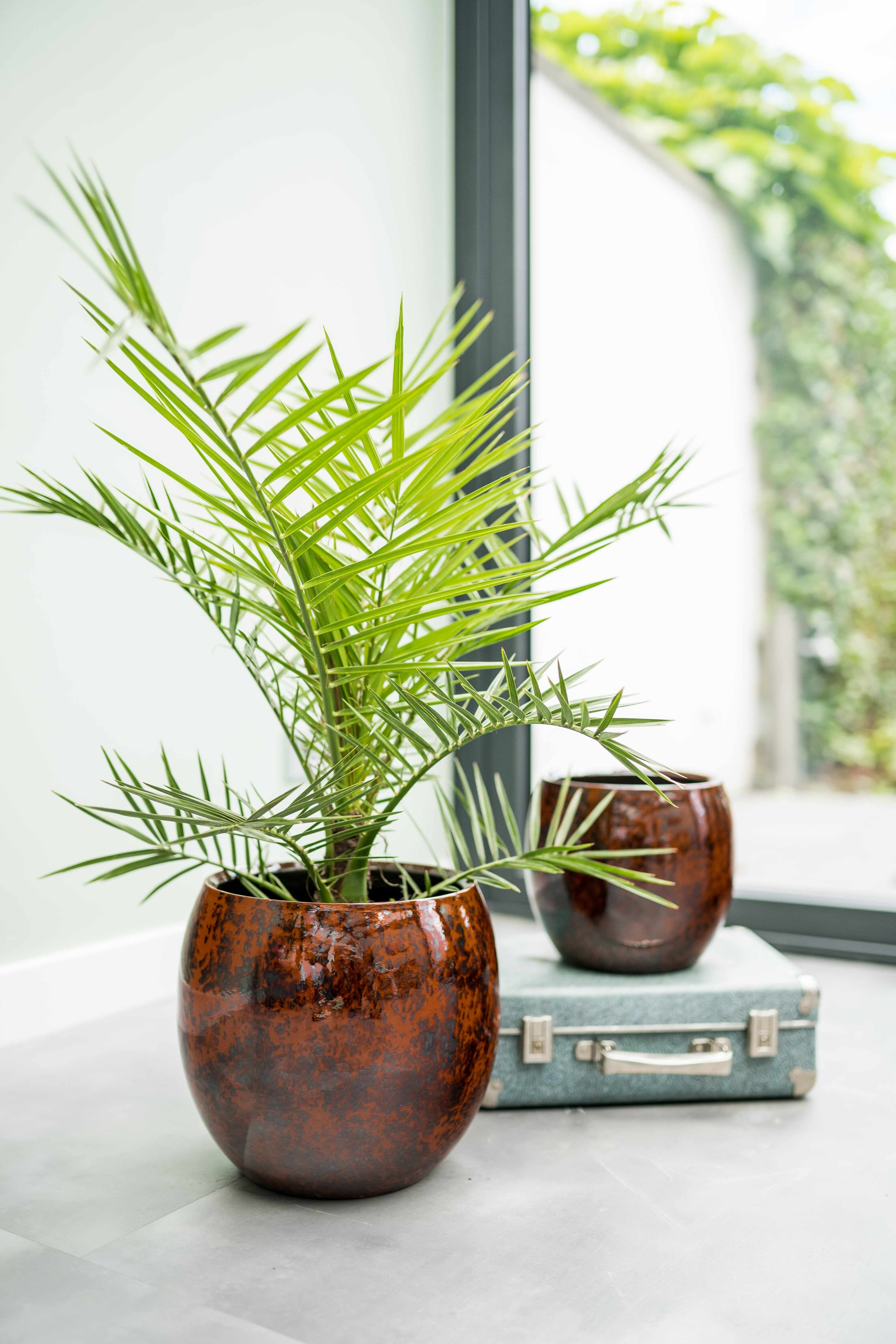 Kae Handmade Indoor Ceramic Plant Pots, Cayenne