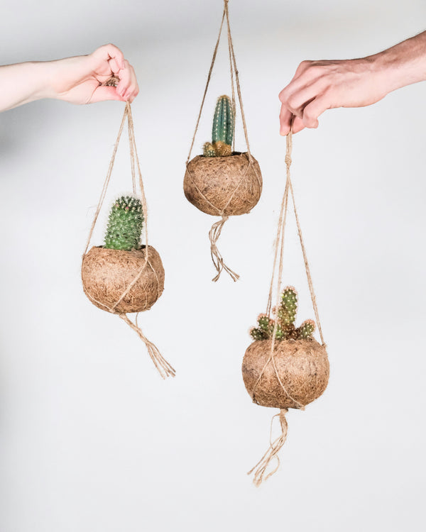 Kokedama Hanging Plant Pots, Coconut Fibre