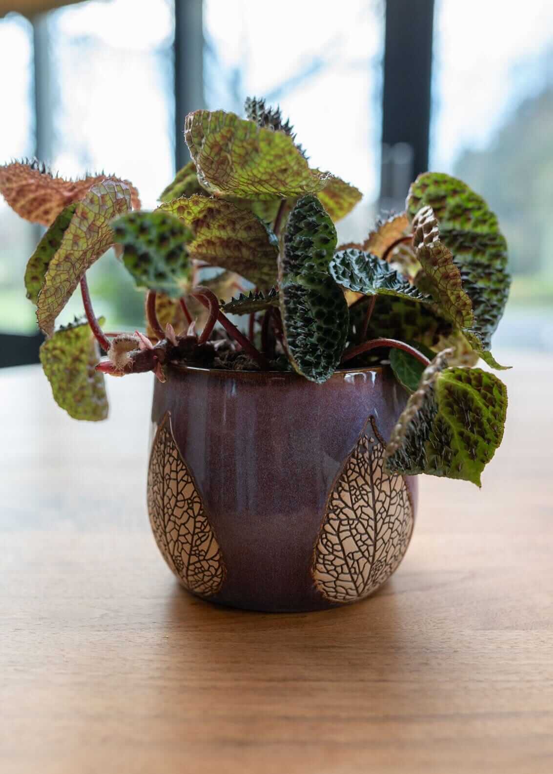 Leaf Ceramic Plant pots, Liliac Purple, Handmade