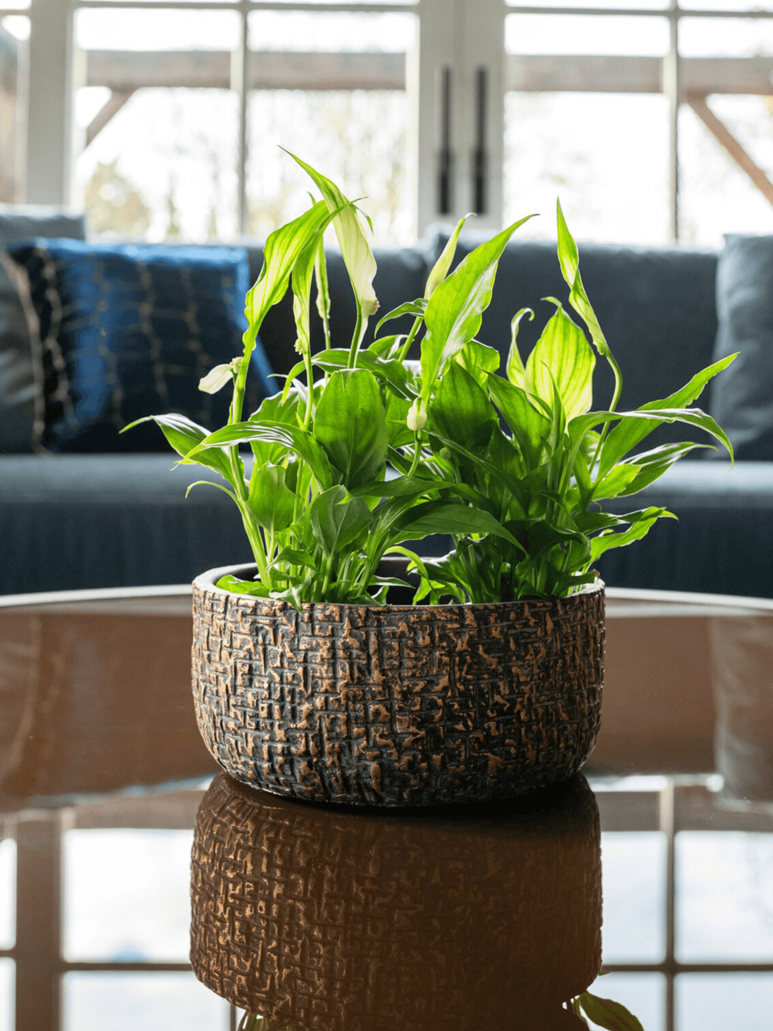 Maxim_Shiny_Ceramic_Pots_Earth_House_Plant_Pot_in_Multiple_Sizes