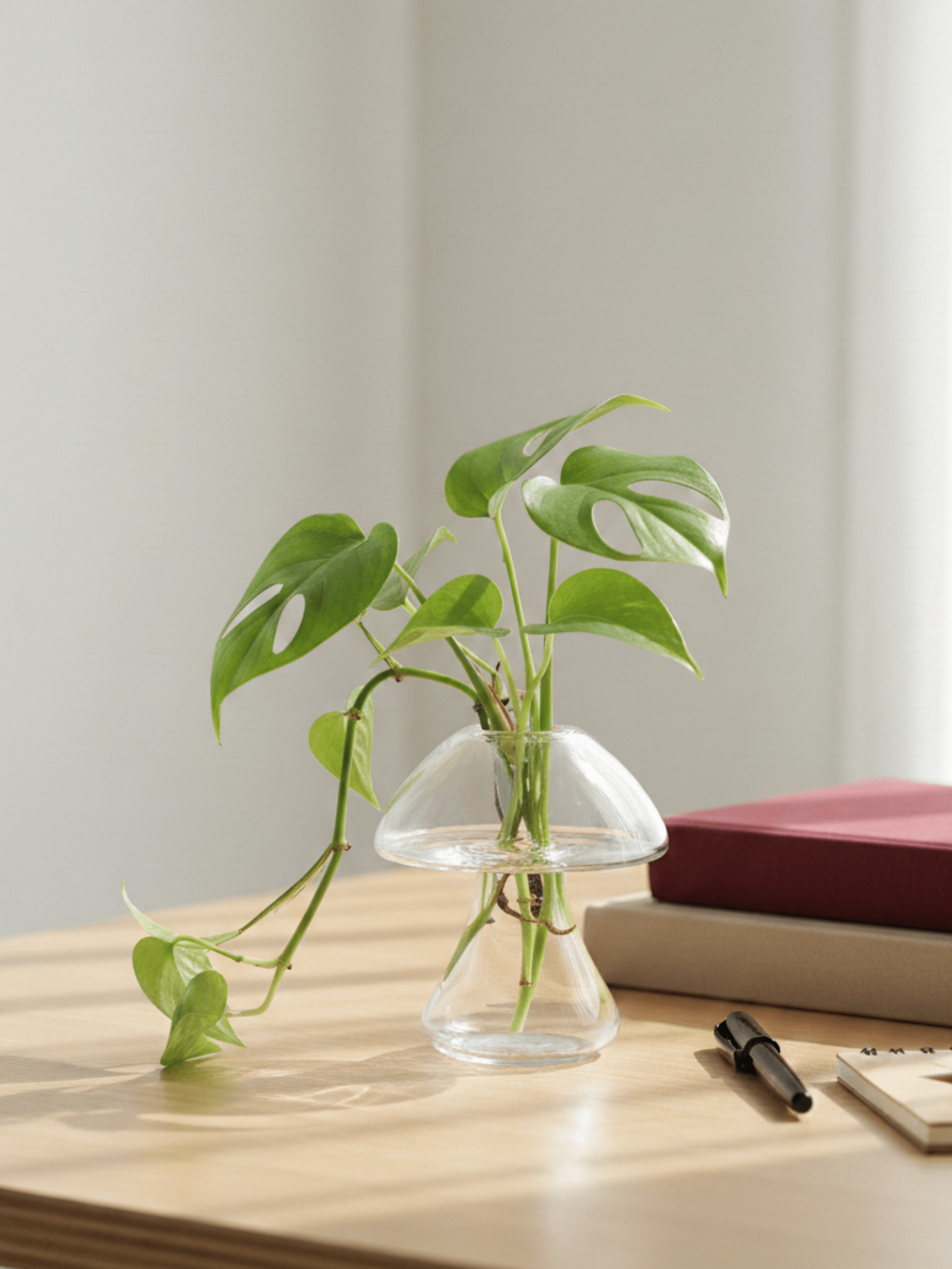 Mushroom Glass Vase, H12cm