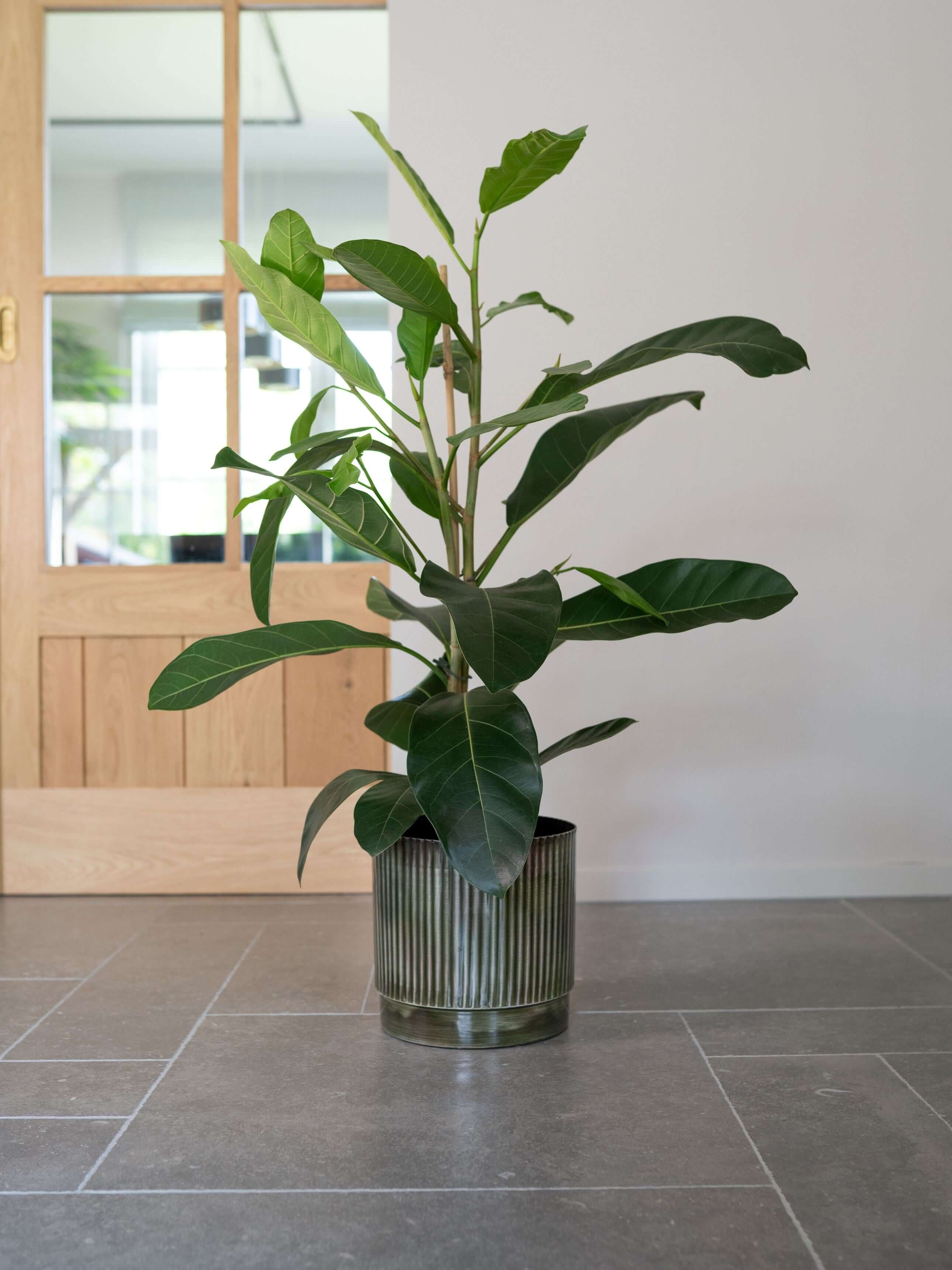 Nella Forest Handmade Metal Pots, Green