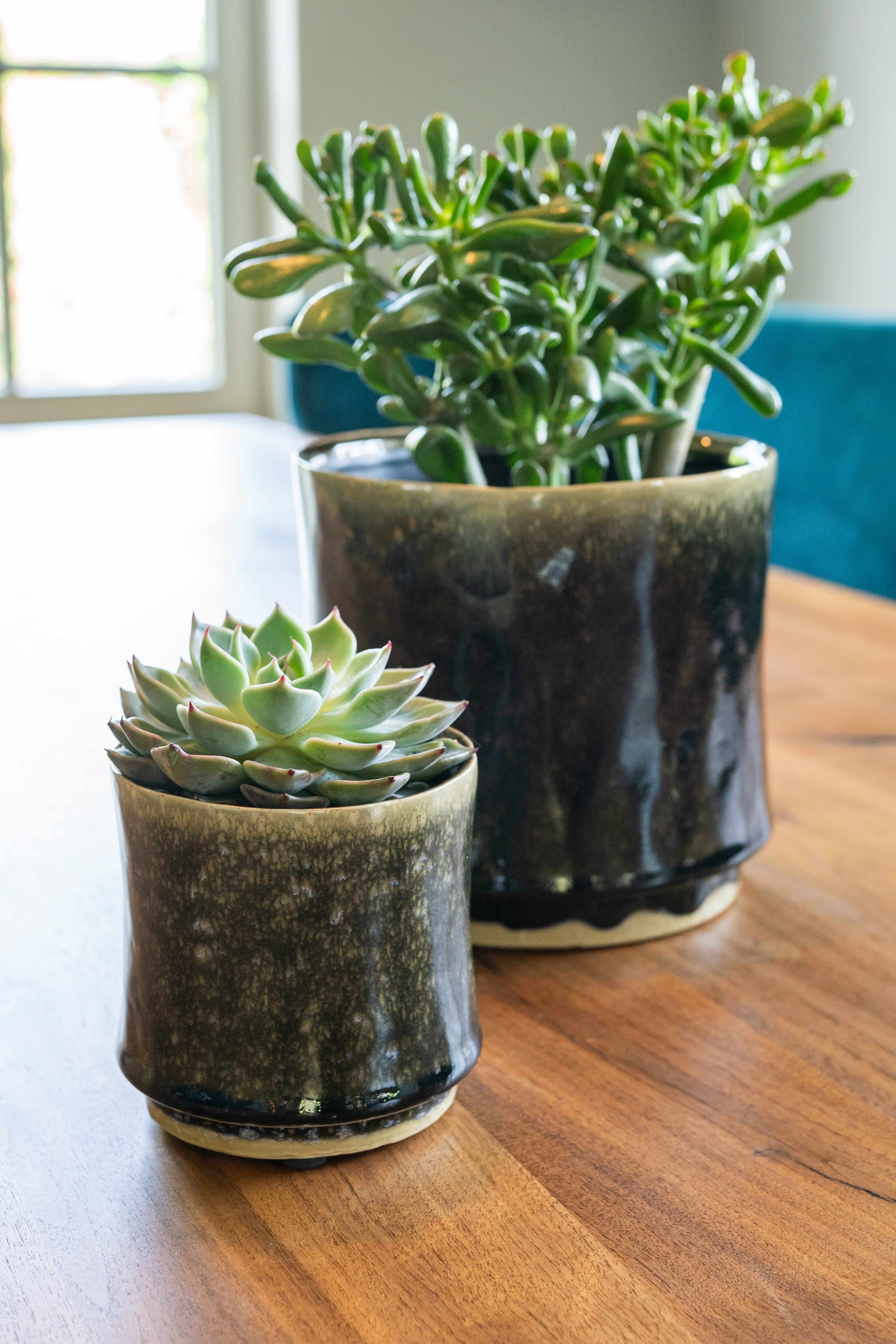 Nolan Handmade Ceramic Plant Pots, Pine, Indoor Plant Pot in Multiple Sizes