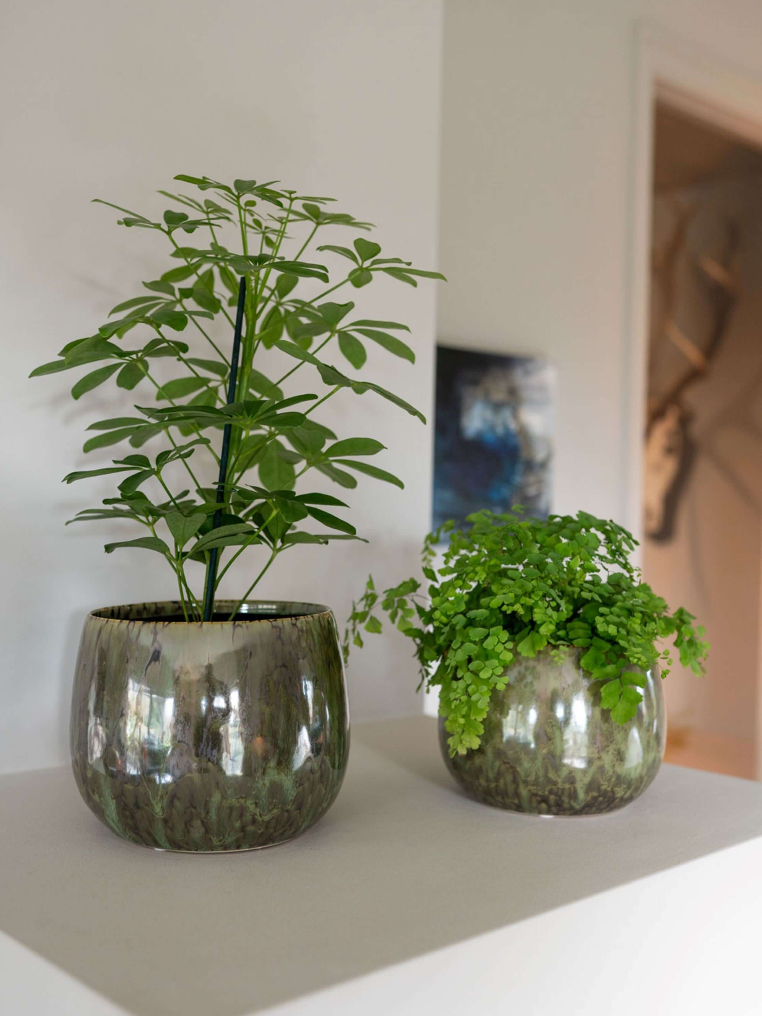 Odile Handmade Ceramic Plant Pots, Green, Indoor Plant Pots in Multiple Sizes