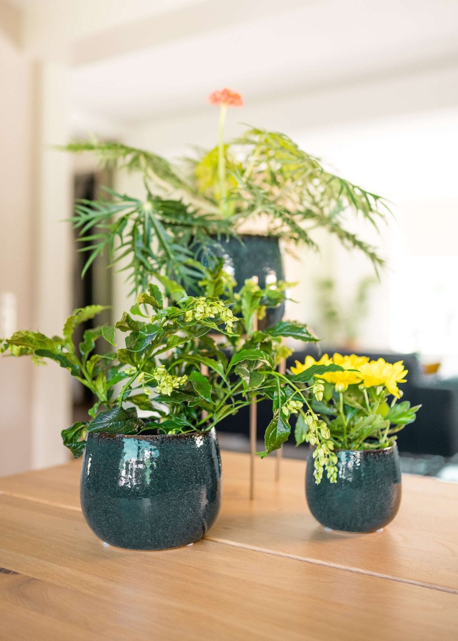 Odile Handmade Ceramic Plant Pots, Blue, House Plant Pot in Multiple Sizes