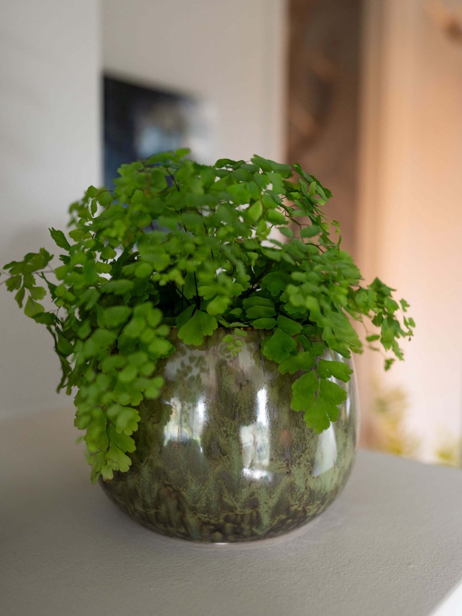 Odile Handmade Ceramic Plant Pots, Green, Indoor Plant Pots in Multiple Sizes