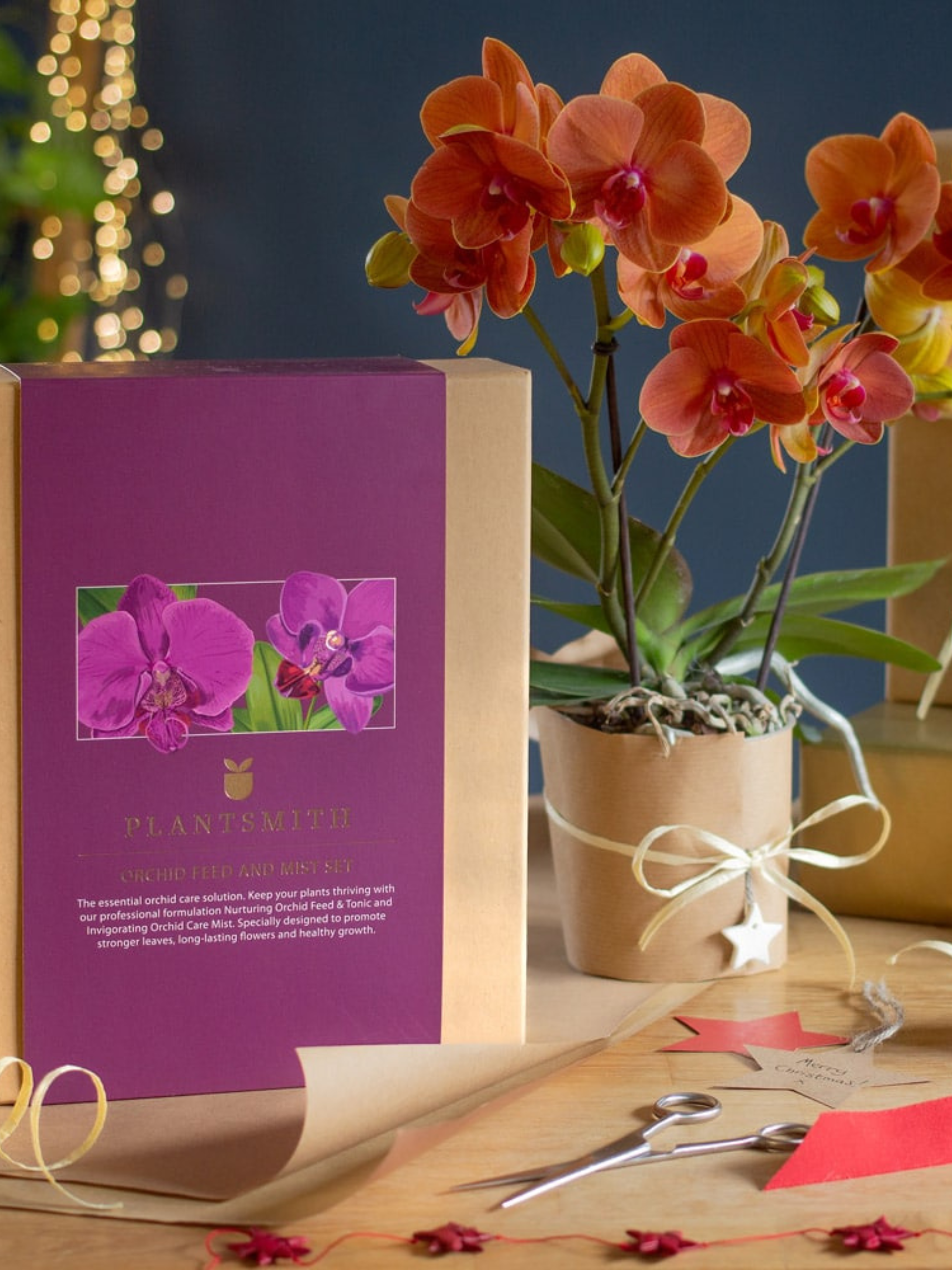 Orchid Feed & Mist Gift Set