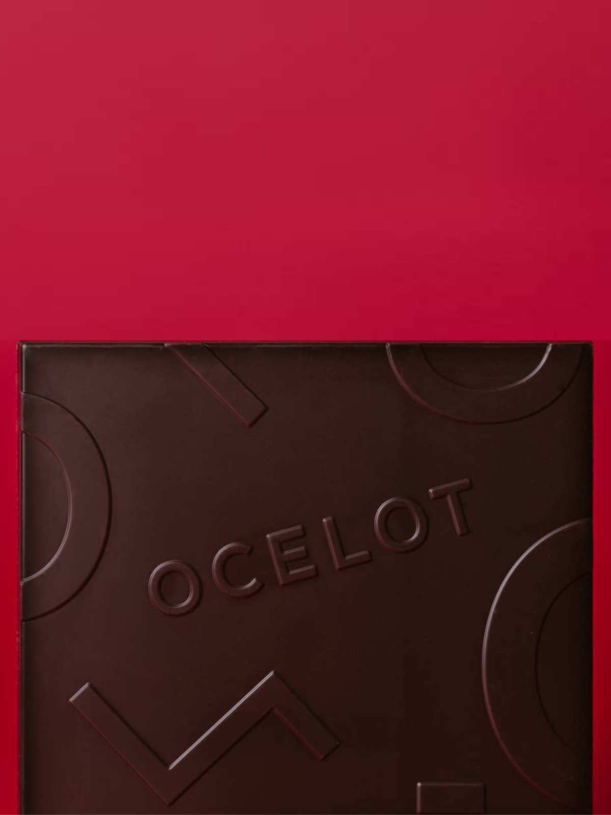 Organic Dark Chocolate bar, Black Cherry,Plant Gift Add-On (70g) - Rebel Plants
