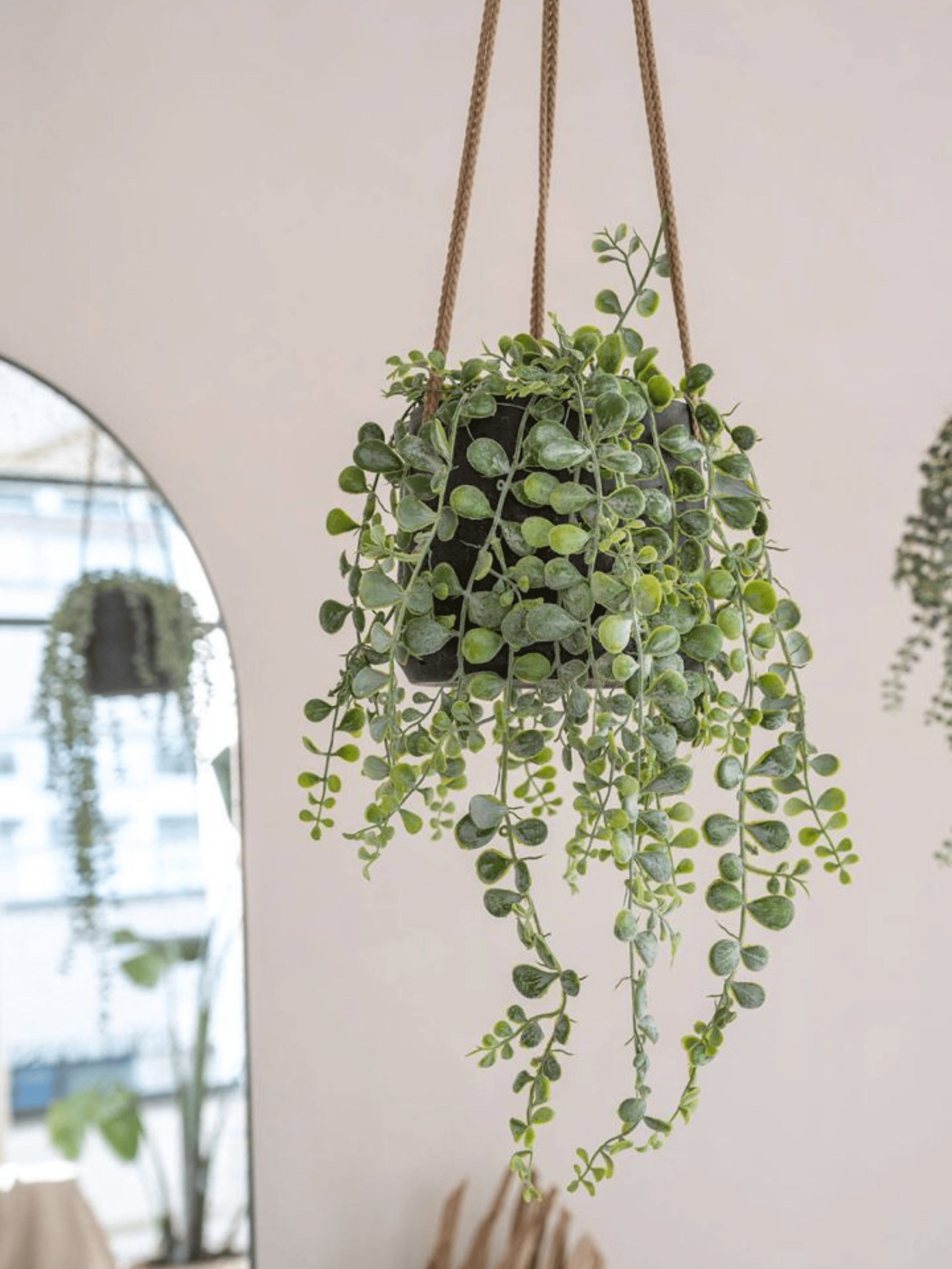 Patt Hanging Plant Pot, Black Washed, Multiple Sizes - Rebel Plants