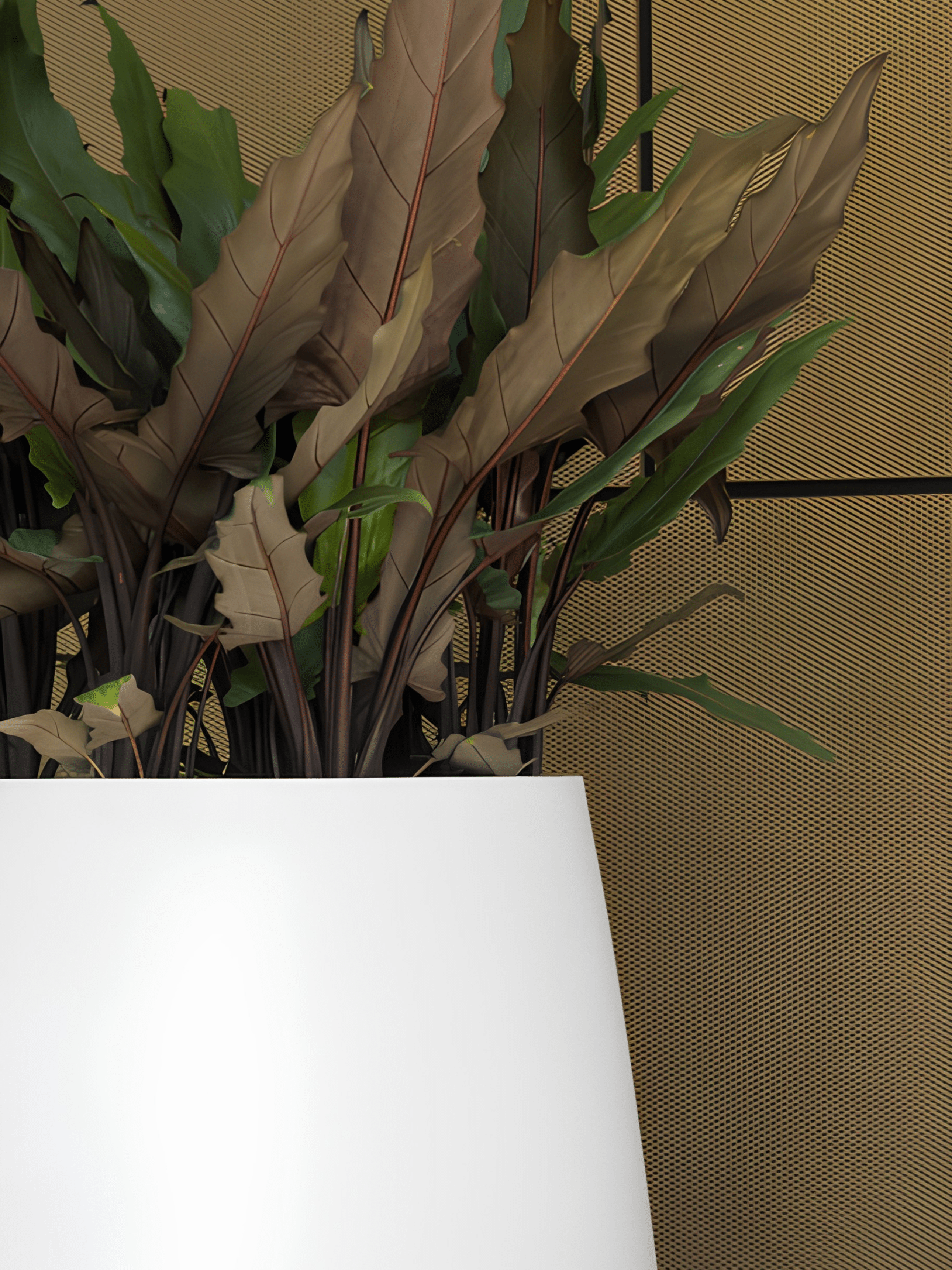 Pax M Fiberstone Planter - Matt White - Rebel Plants