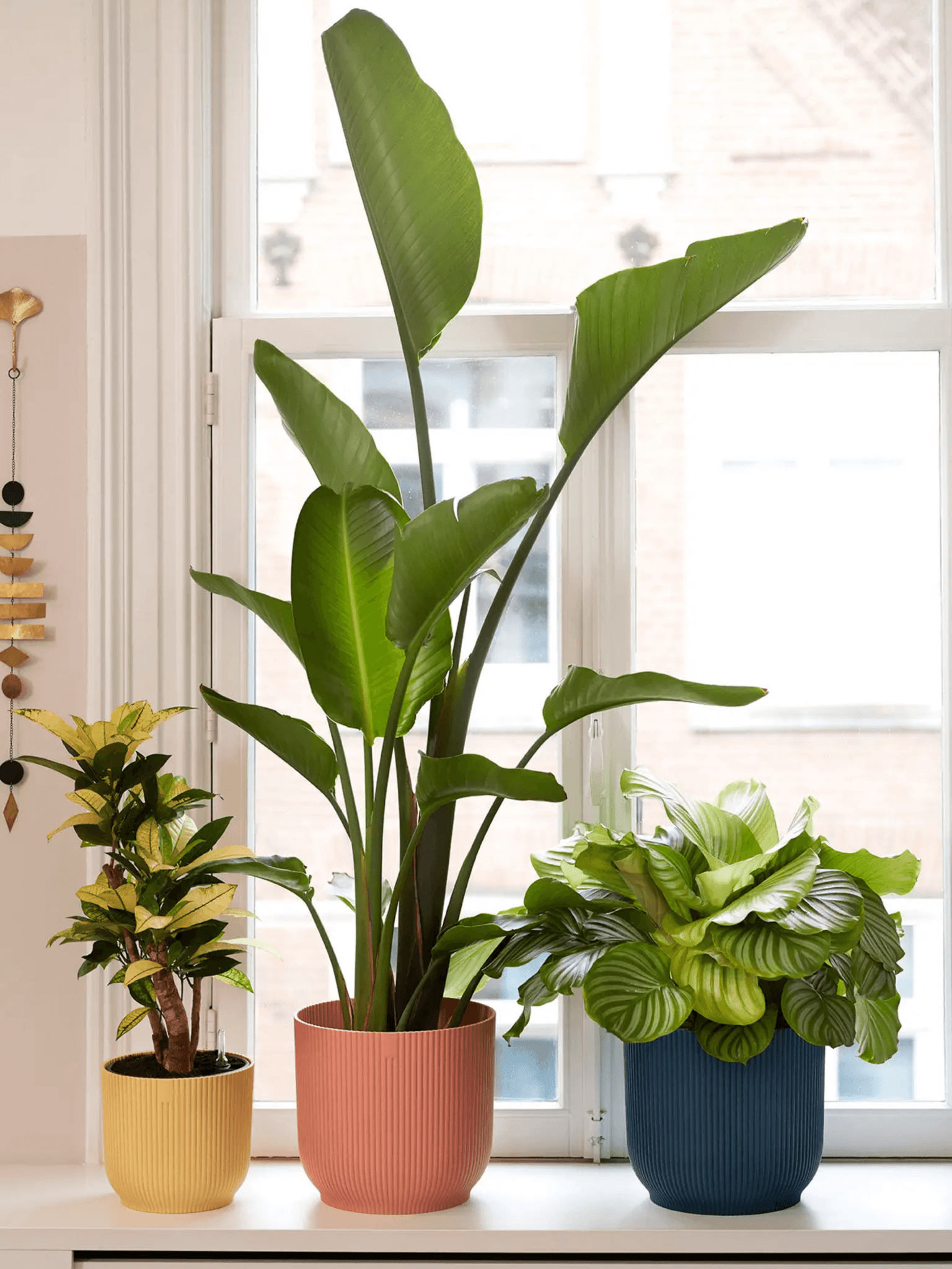 Eco-friendly plant pots, Elho Pink Plant Pots in Multiple Sizes