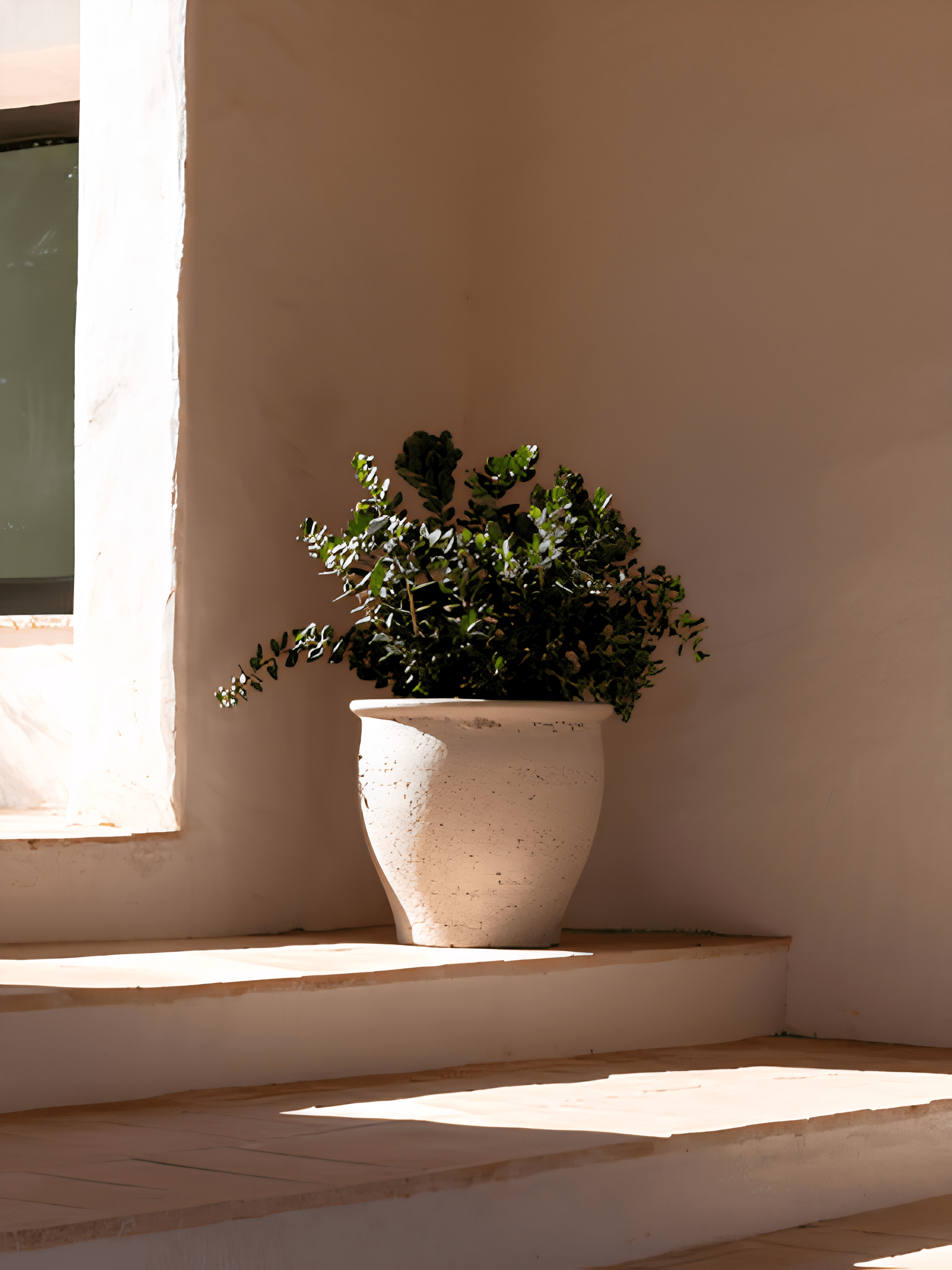 Large Mediterranean Planter in Chalk White with lush greenery, beautifully showcased on a patio.