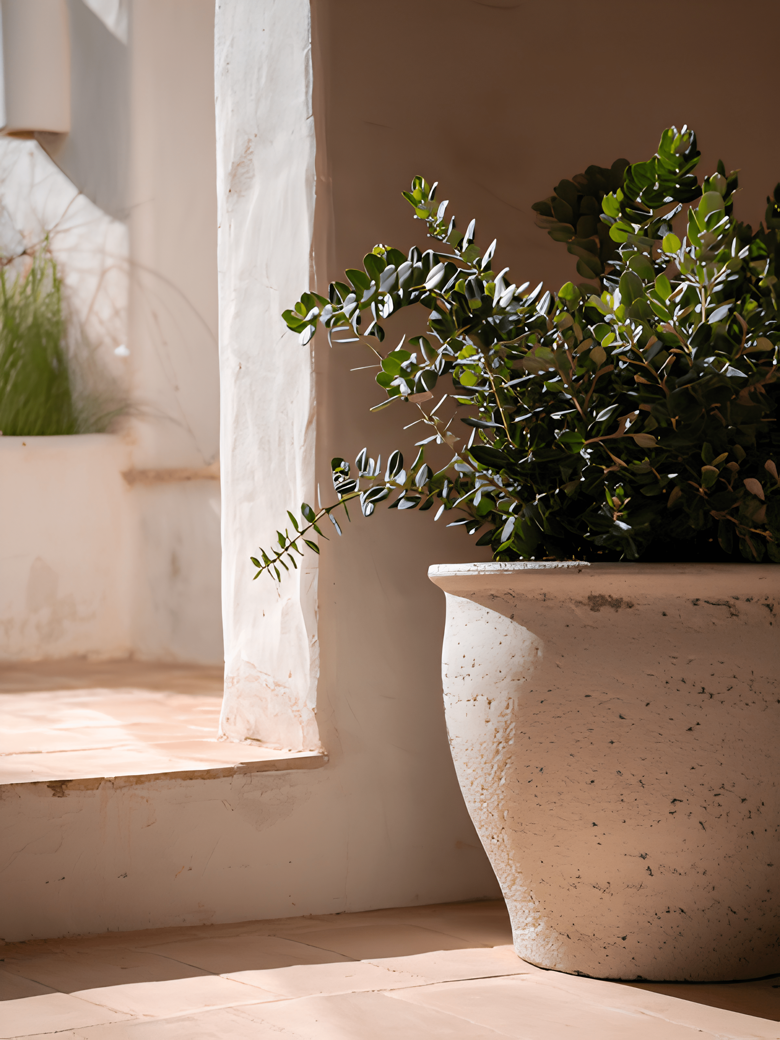 Large Mediterranean Planter featuring greenery in a sunlit indoor space.