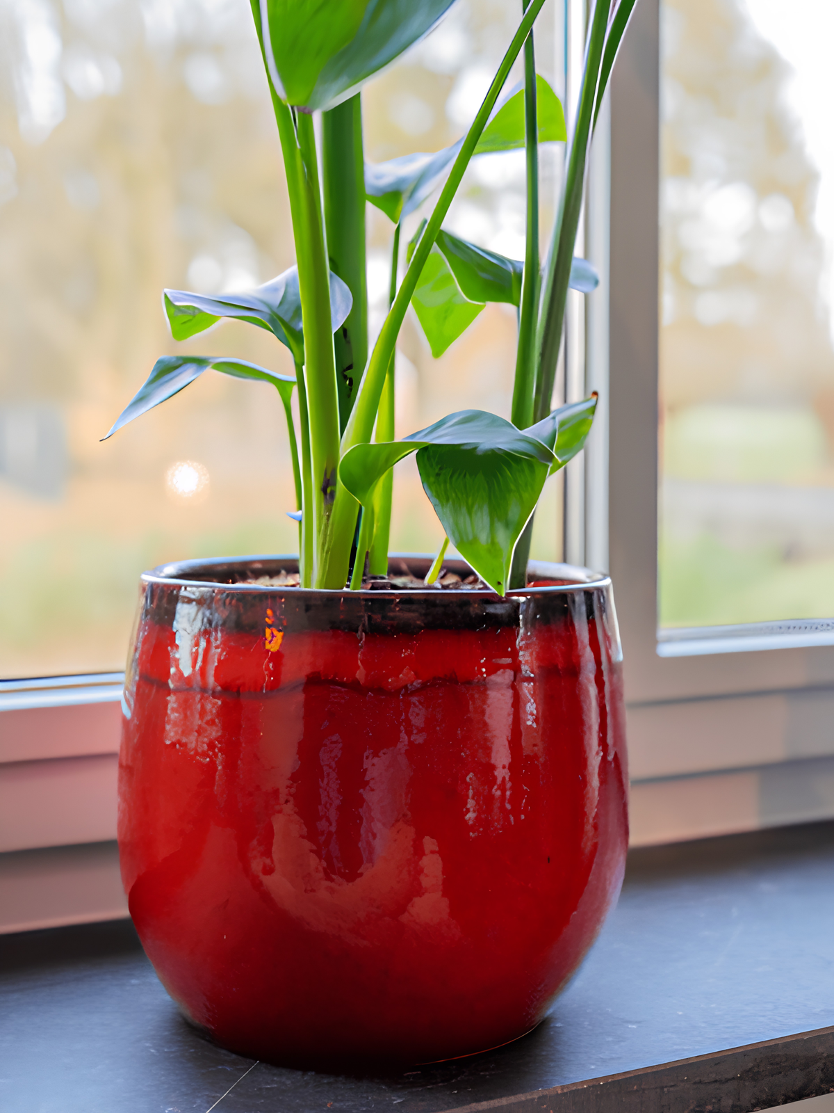 Red Plant Pot Charlotte - Retro Ceramic Plant Pot - Multiple Sizes