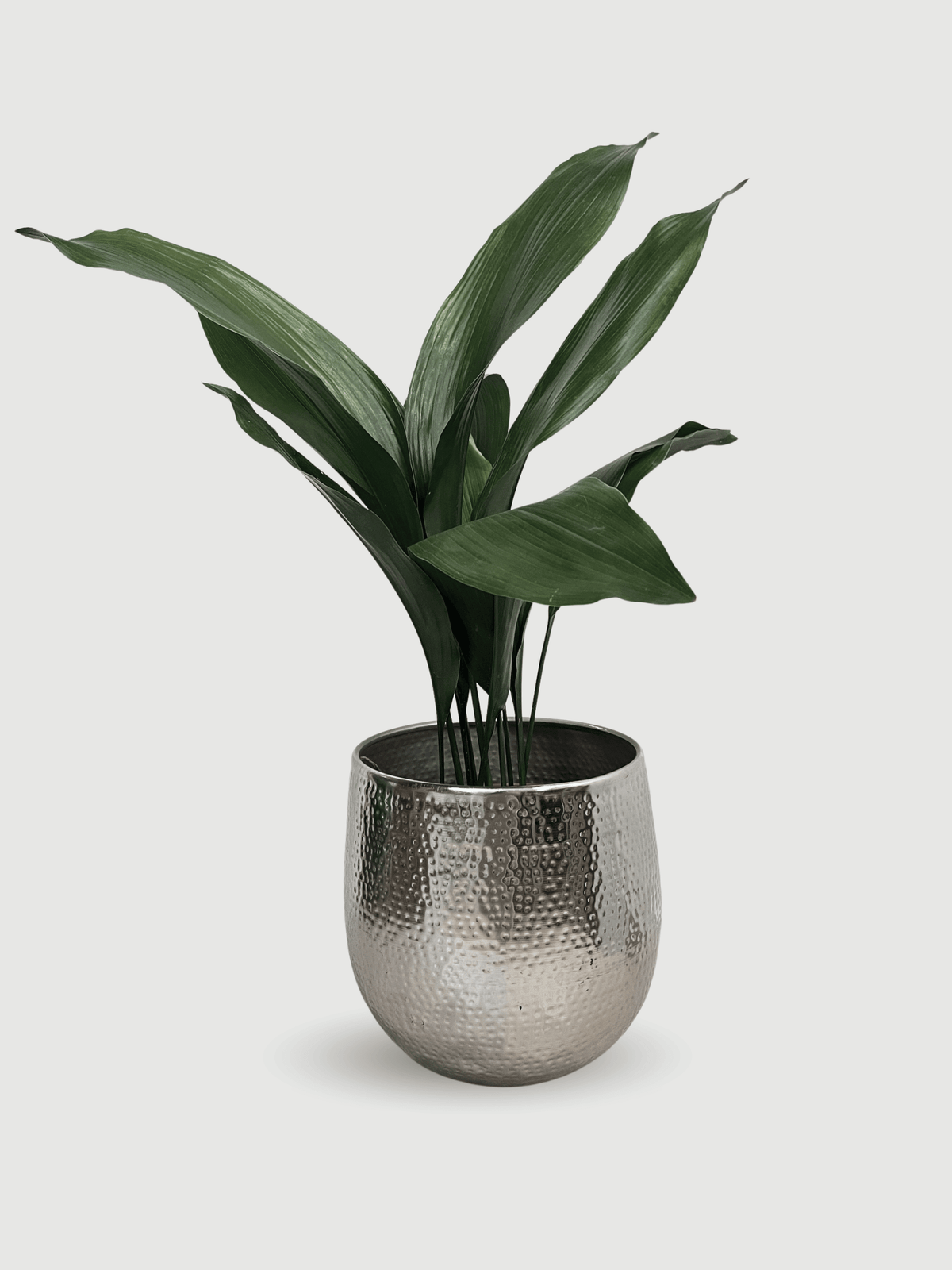 Ribbed Metal Plant Pot Silver, Kristy, In Multiple Sizes - Rebel Plants