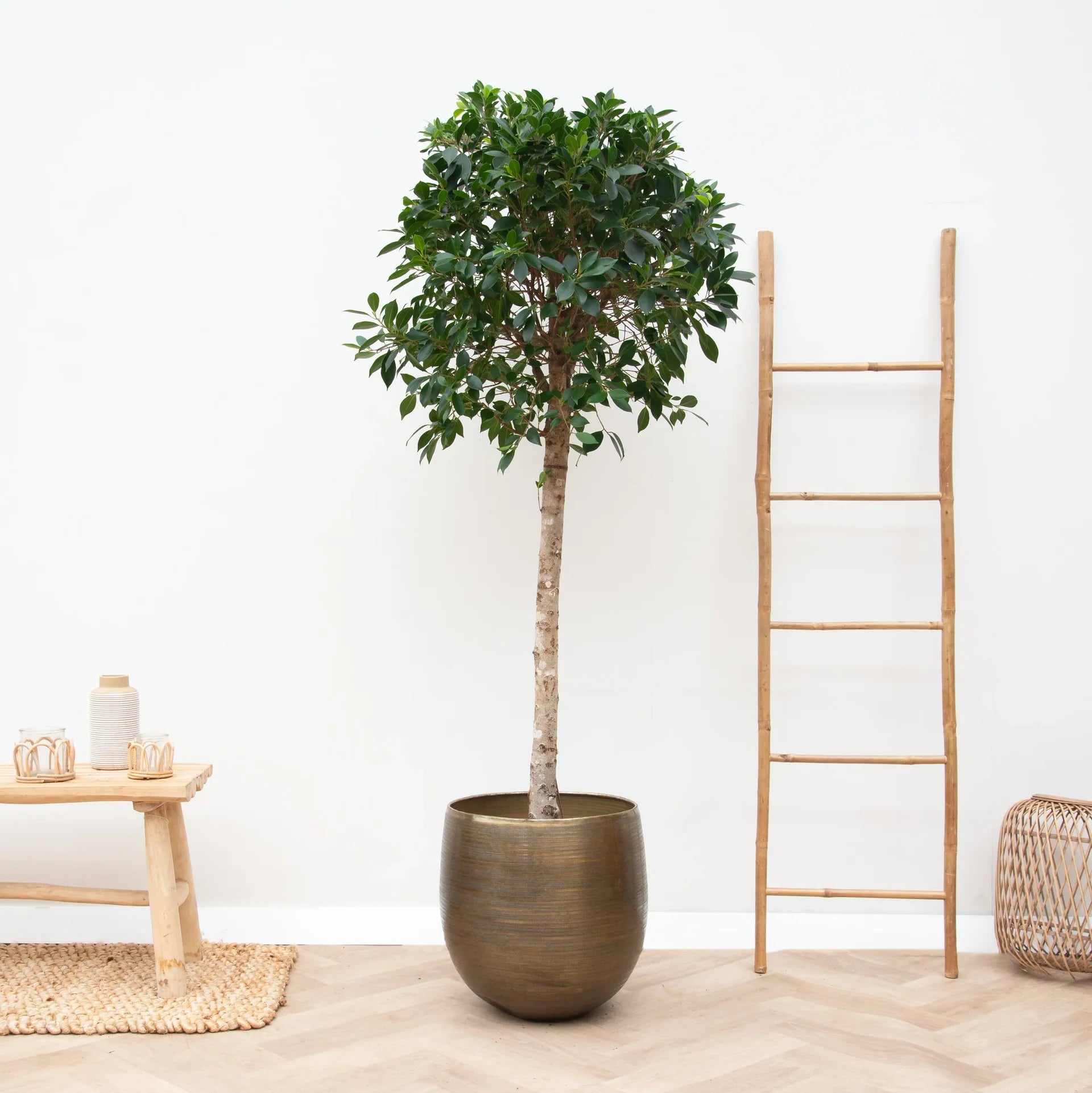 Rowen Plant Pot, Handmade Metal, Gold, Multiple Sizes, Indoor & Outdoor Large Planter