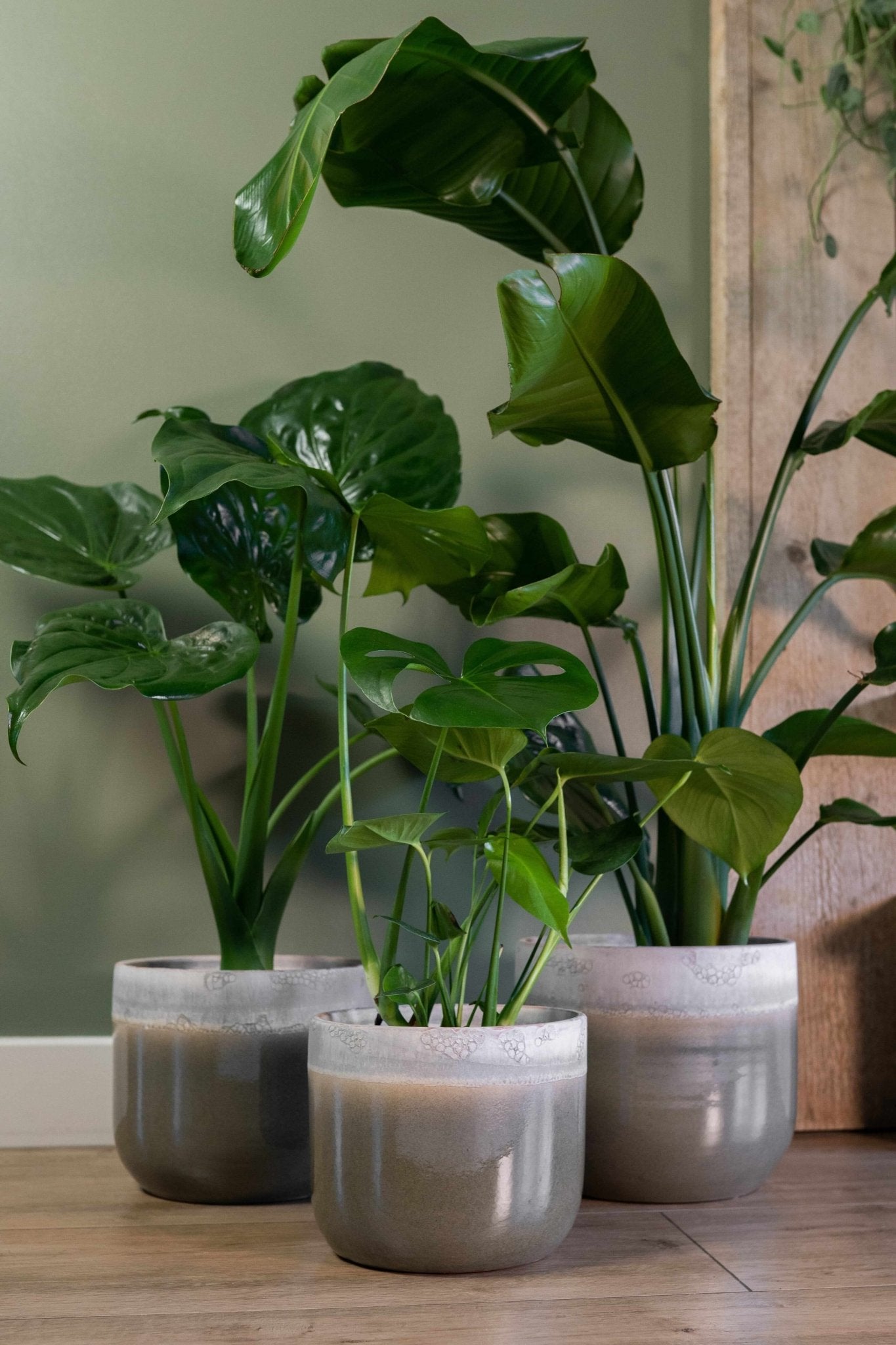 Tara Handmade Ceramic Pots, Forest Green