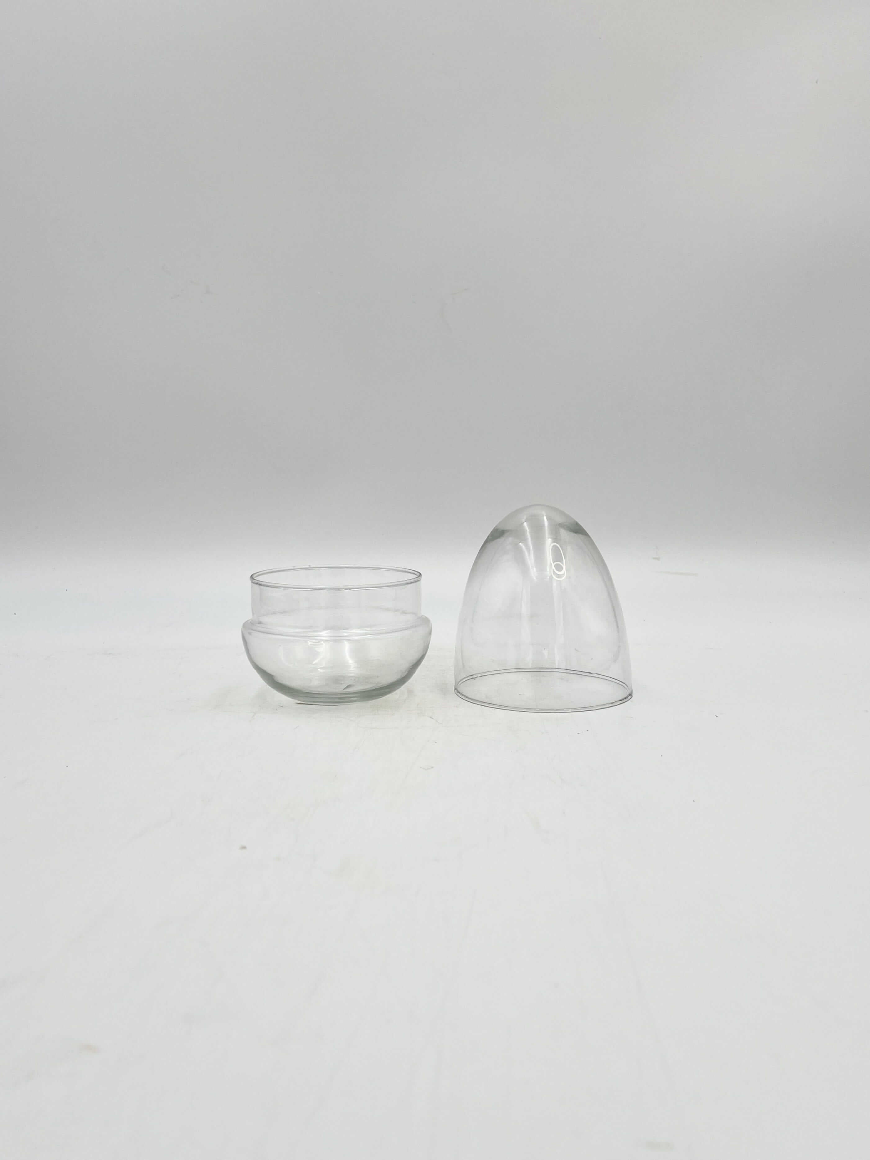 Terrarium Egg, Handmade, Recycled Glass vase, H16 cm