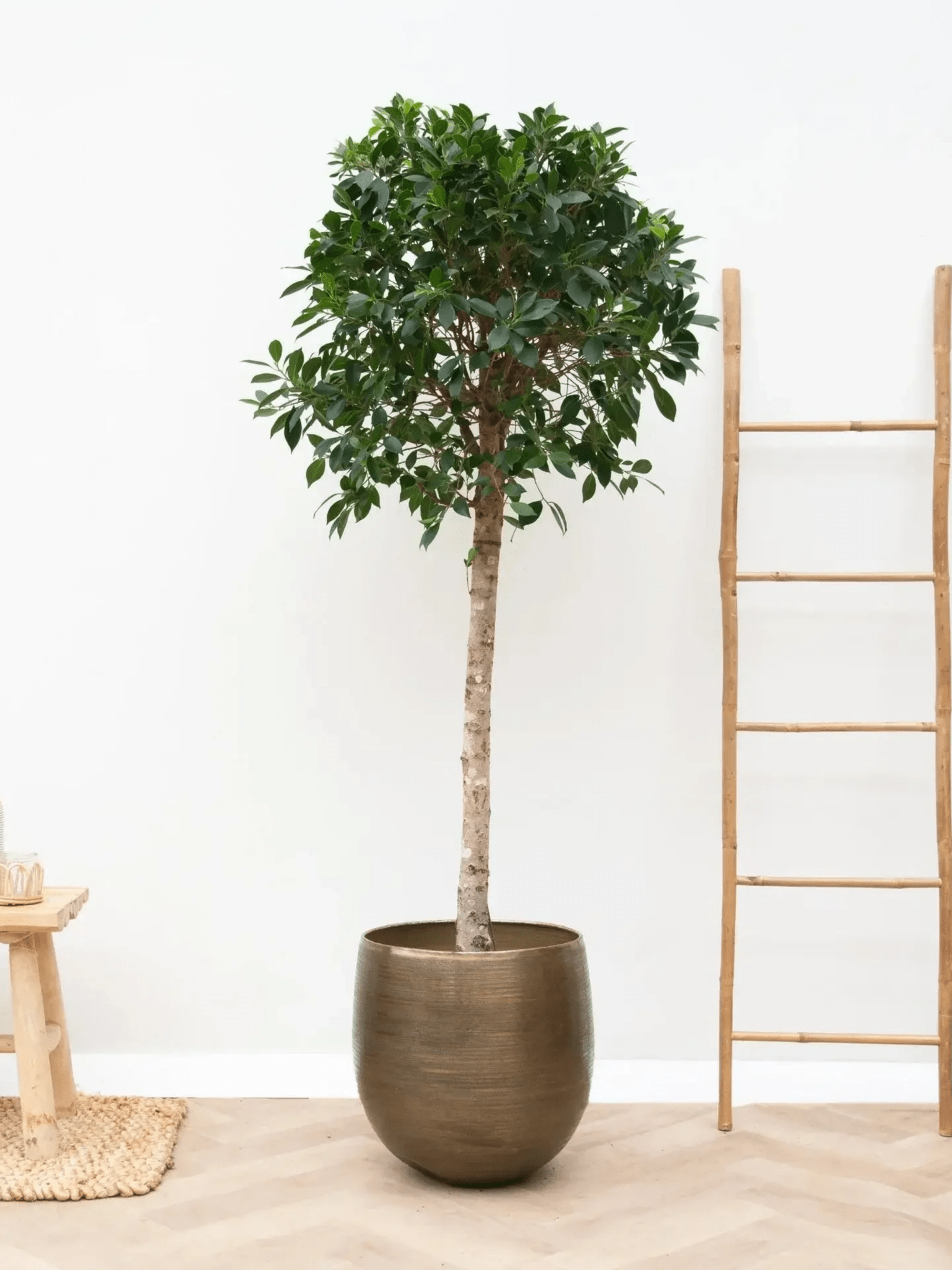 XLarge_Plant_Pot_Rowen_-_Gold_Metal_-_Multiple_Sizes_-_Indoor__Outdoor