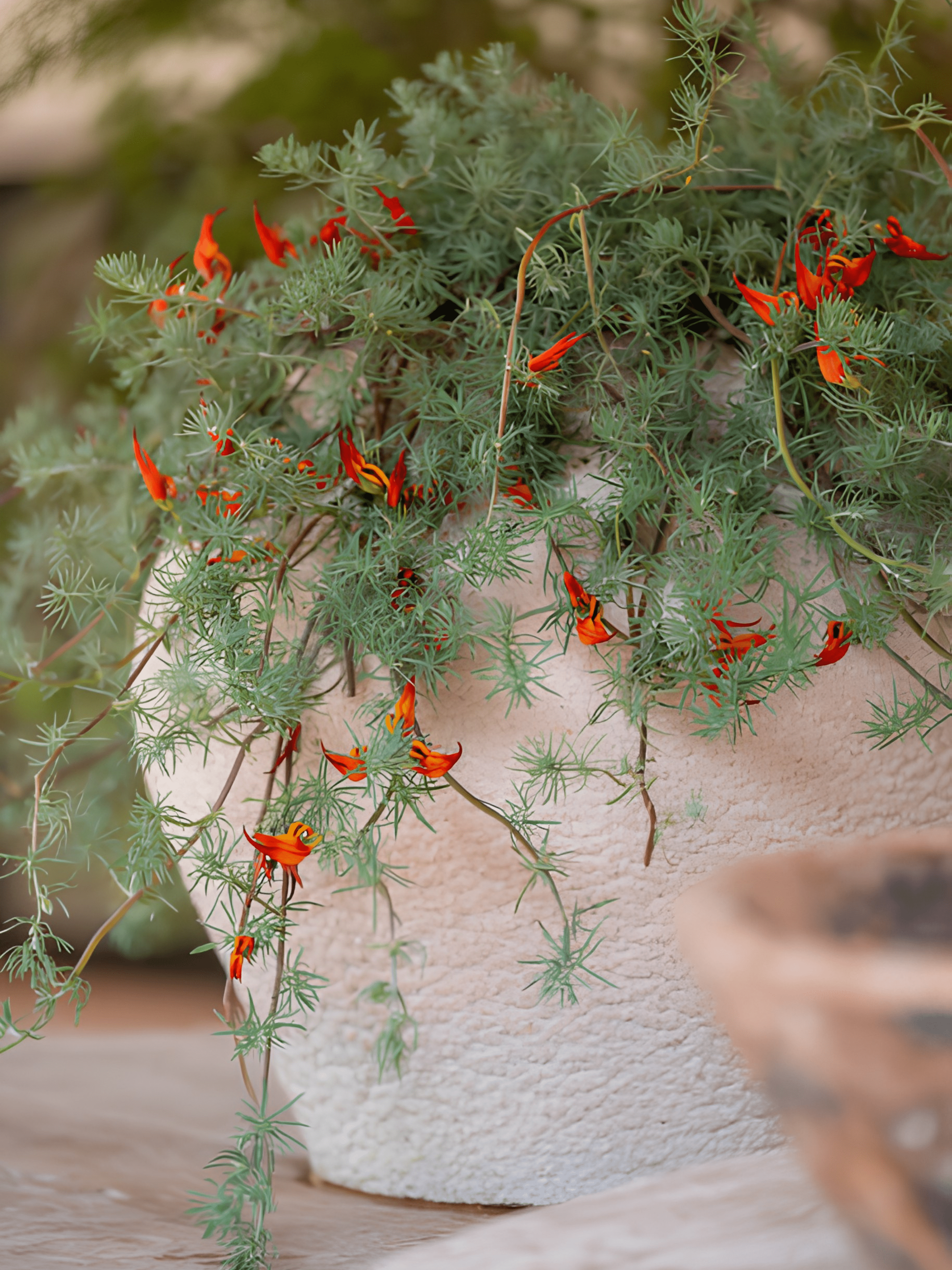 Zeus Plant Pot, Sahara, Indoor & Outdoor Mediterranean Collection - Rebel Plants