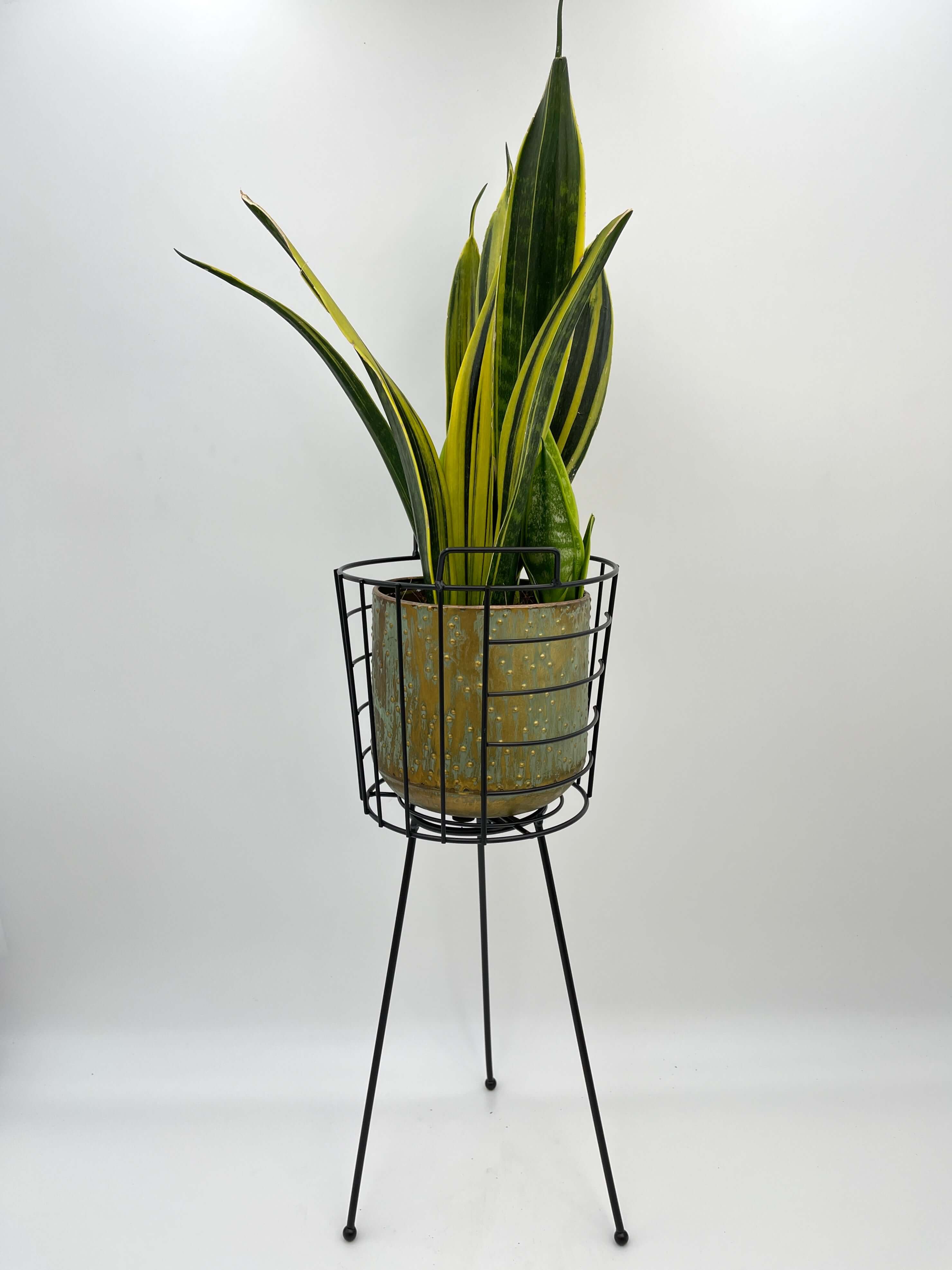 Black Metal Plant Stand, D19cm