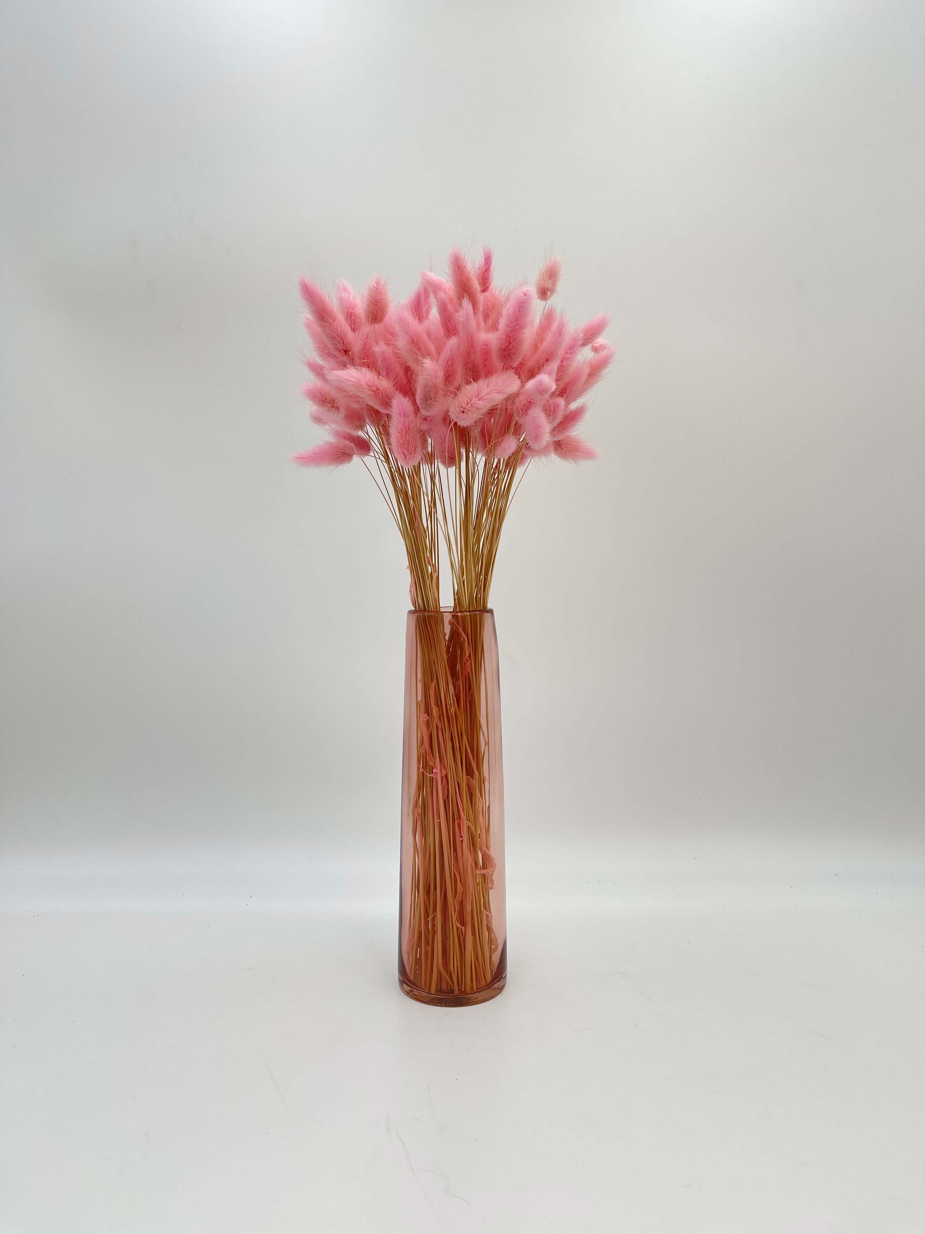 Dried Lagurus Grass, Light Pink, Bunny Tail Grass