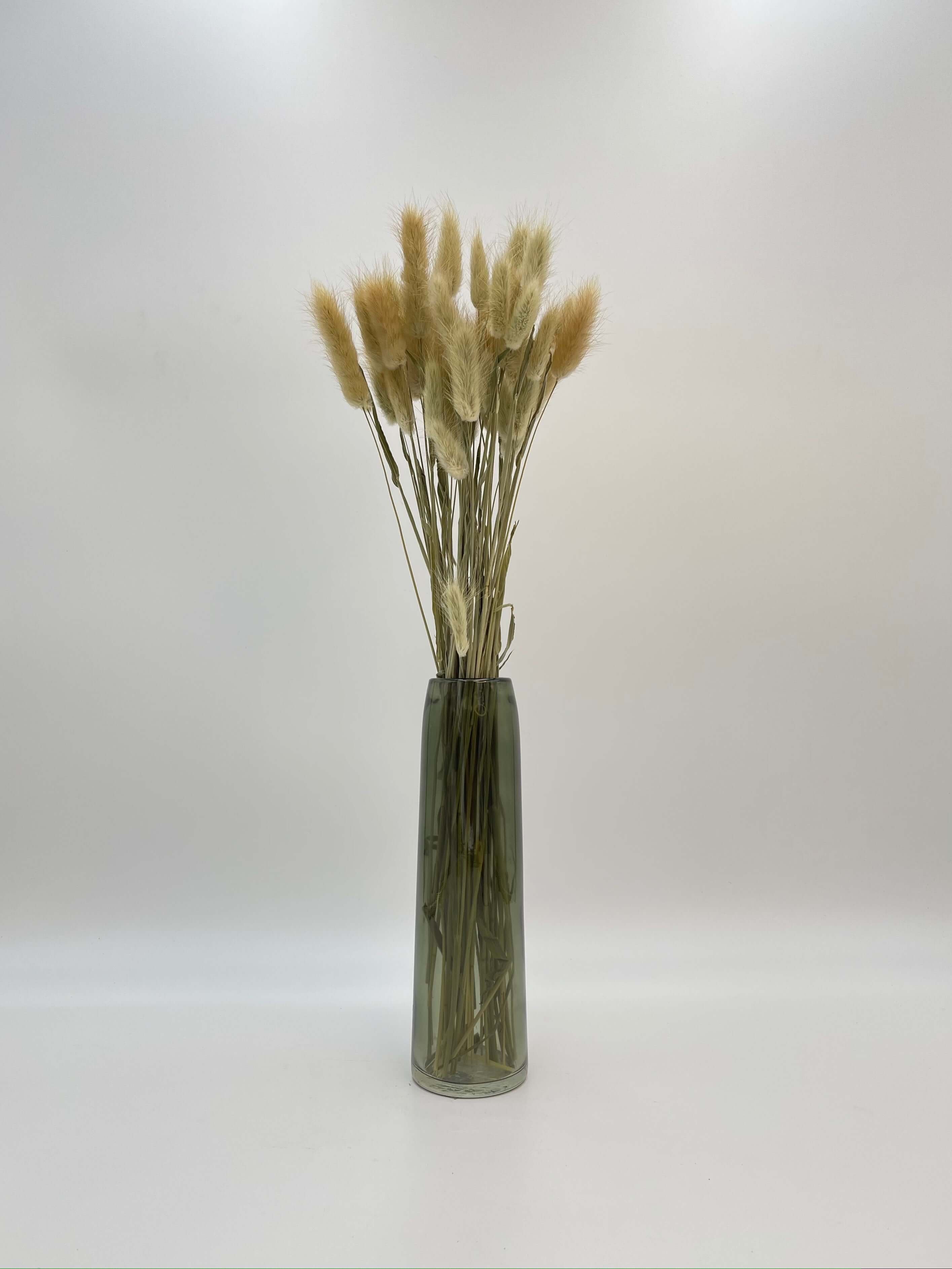 Dried Lagurus Grass, Natural Colour, Bunny Tail Grass