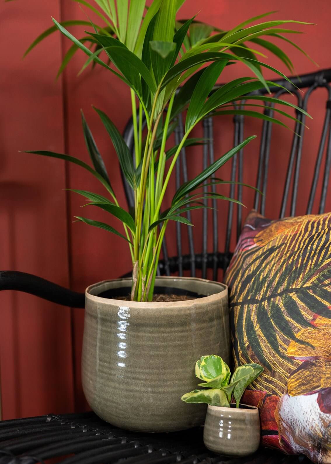 Iris Ceramic Pots, Moss Green, Handmade House Plant Pot in Multiple Sizes