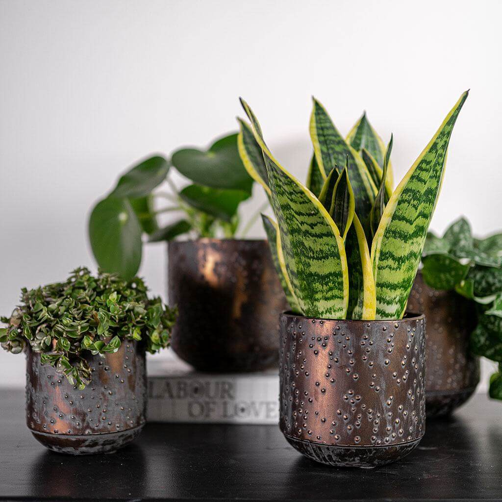 Lian Metal Plant Pot, Copper Black, Handmade