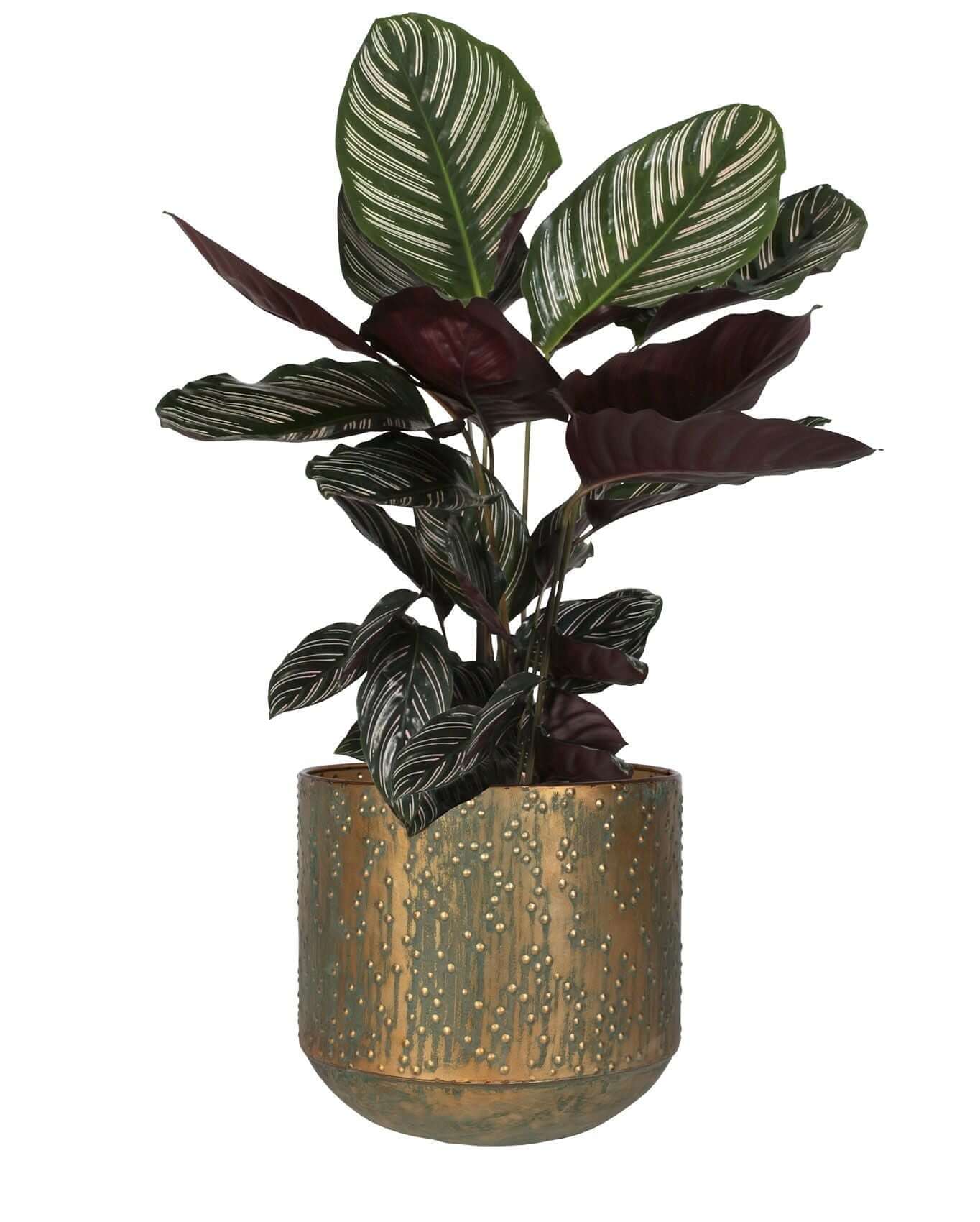 Lian Metal Plant Pots, Copper Green, Handmade