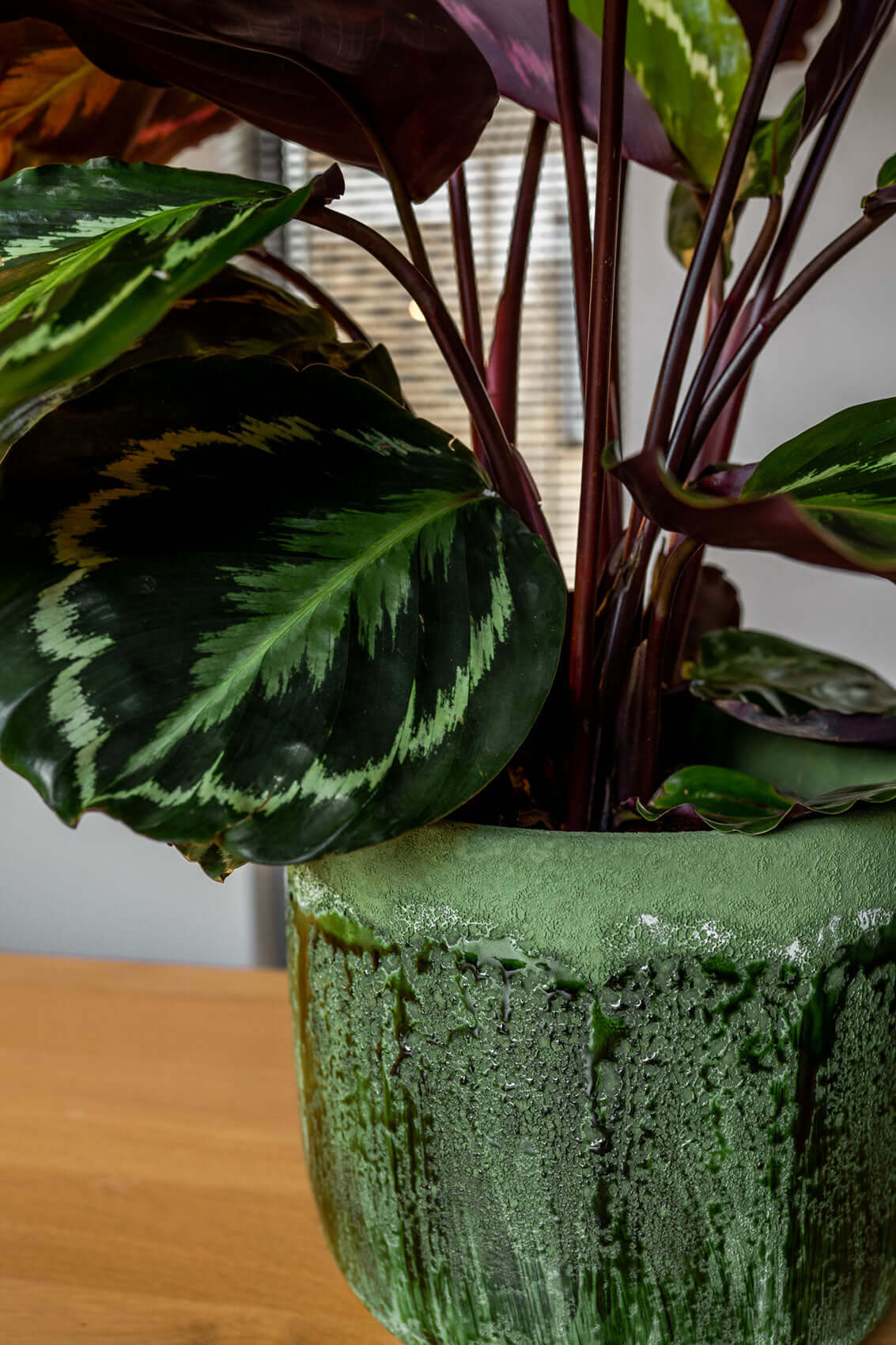 Moon Jungle Plant Pots, Ceramic, Green, Handmade