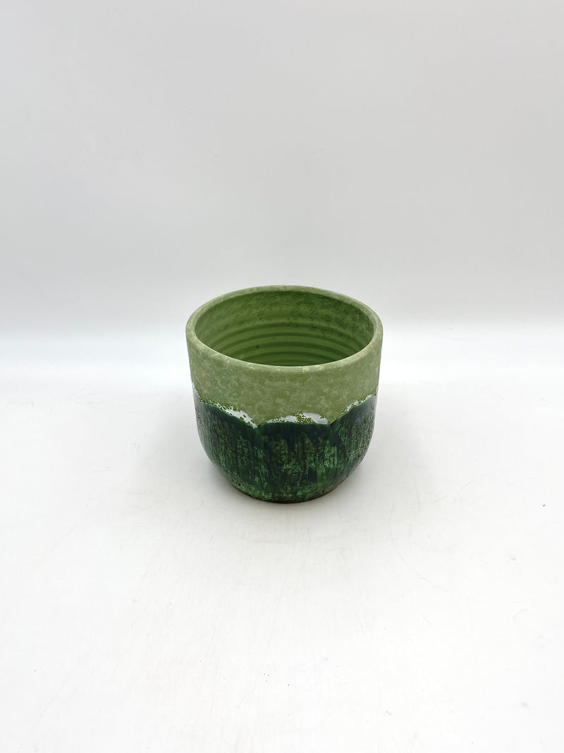 Moon Jungle Plant Pots, Ceramic, Green
