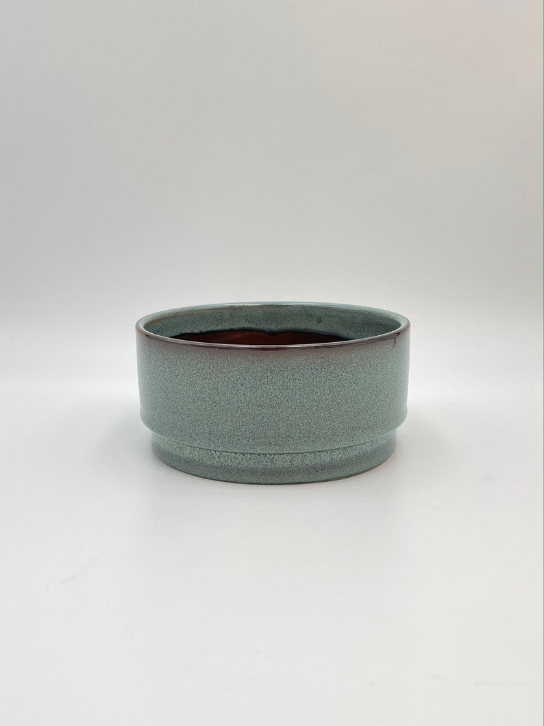 Ocean Ceramic Plant Bowl, Green, D18cm
