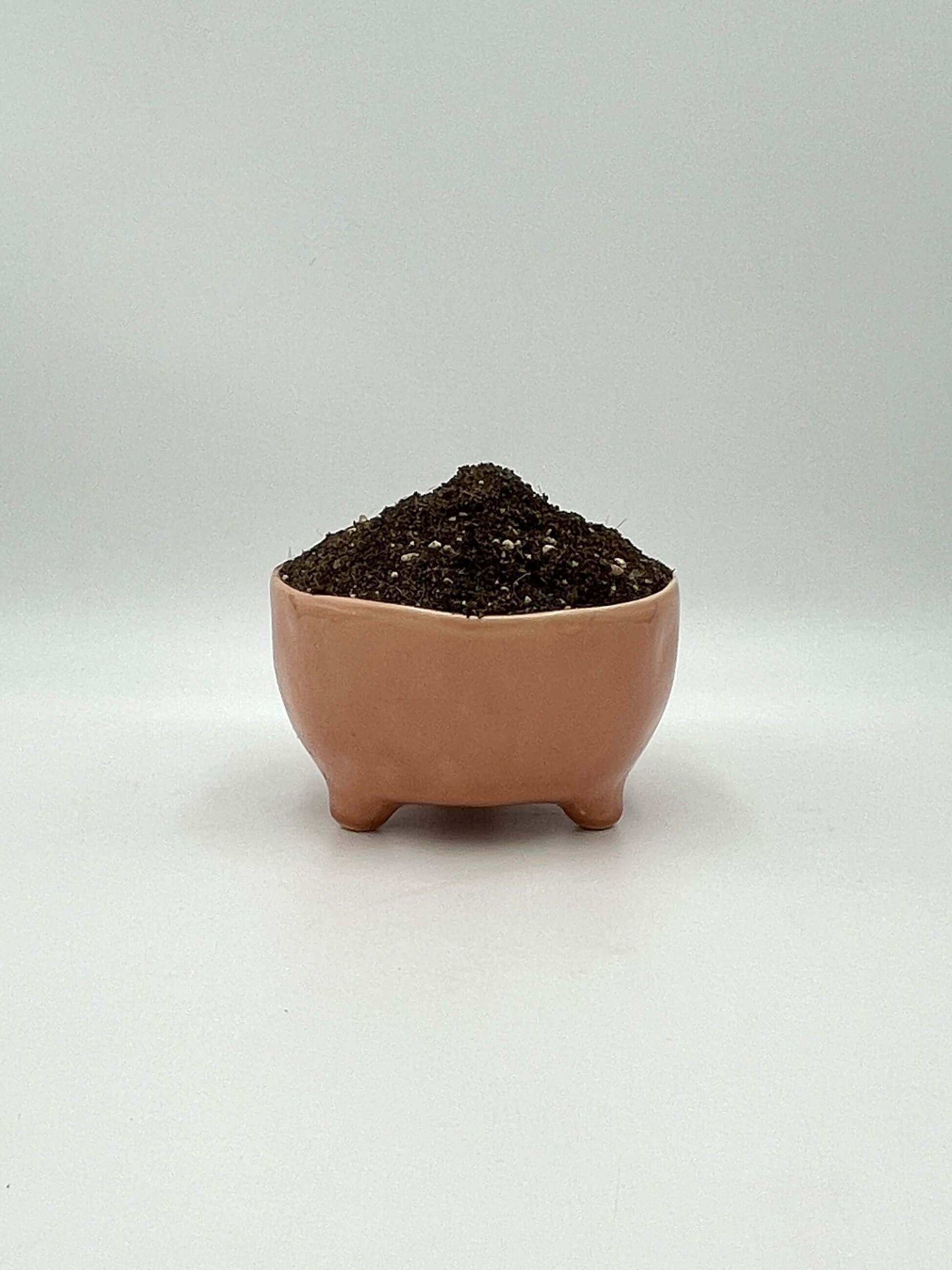 Premium Cacti & Succulent Potting Soil Mix