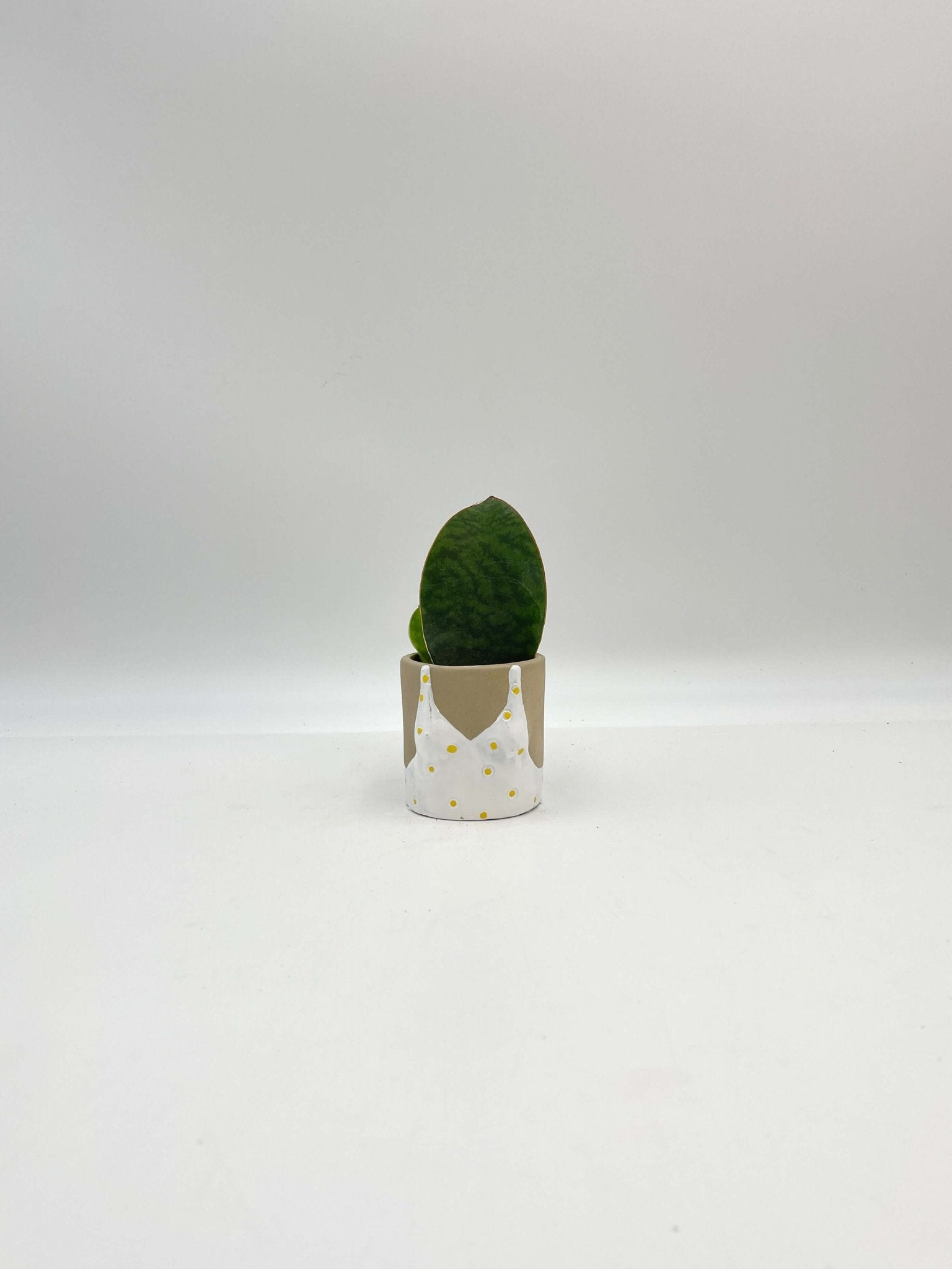 Sunshine Babes Plant Pot, D6cm