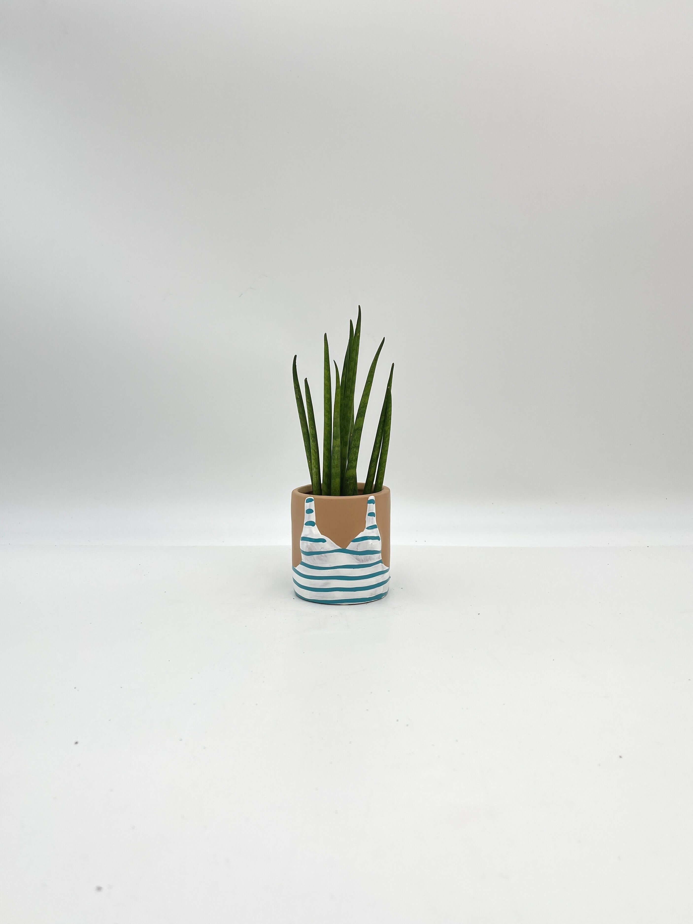 Sunshine Babes Plant Pot, D6cm