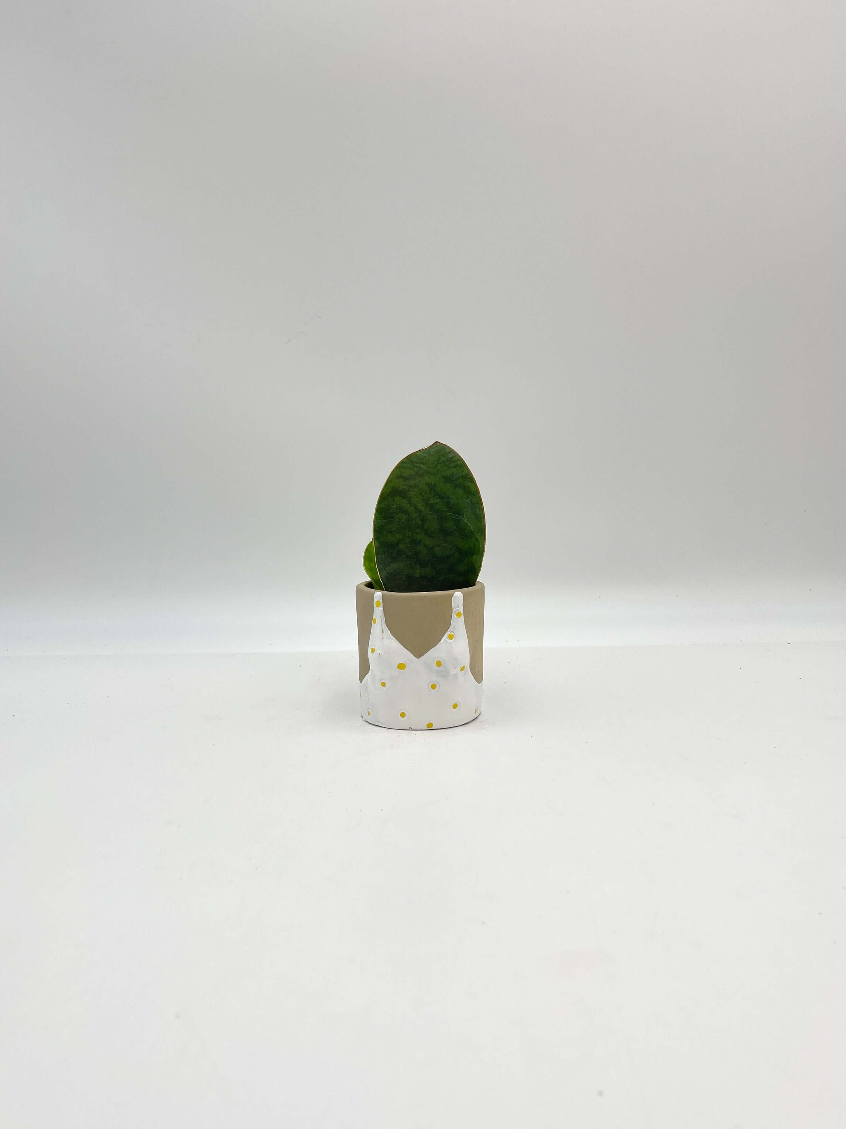 Sunshine Babes Plant Pot, D6cm