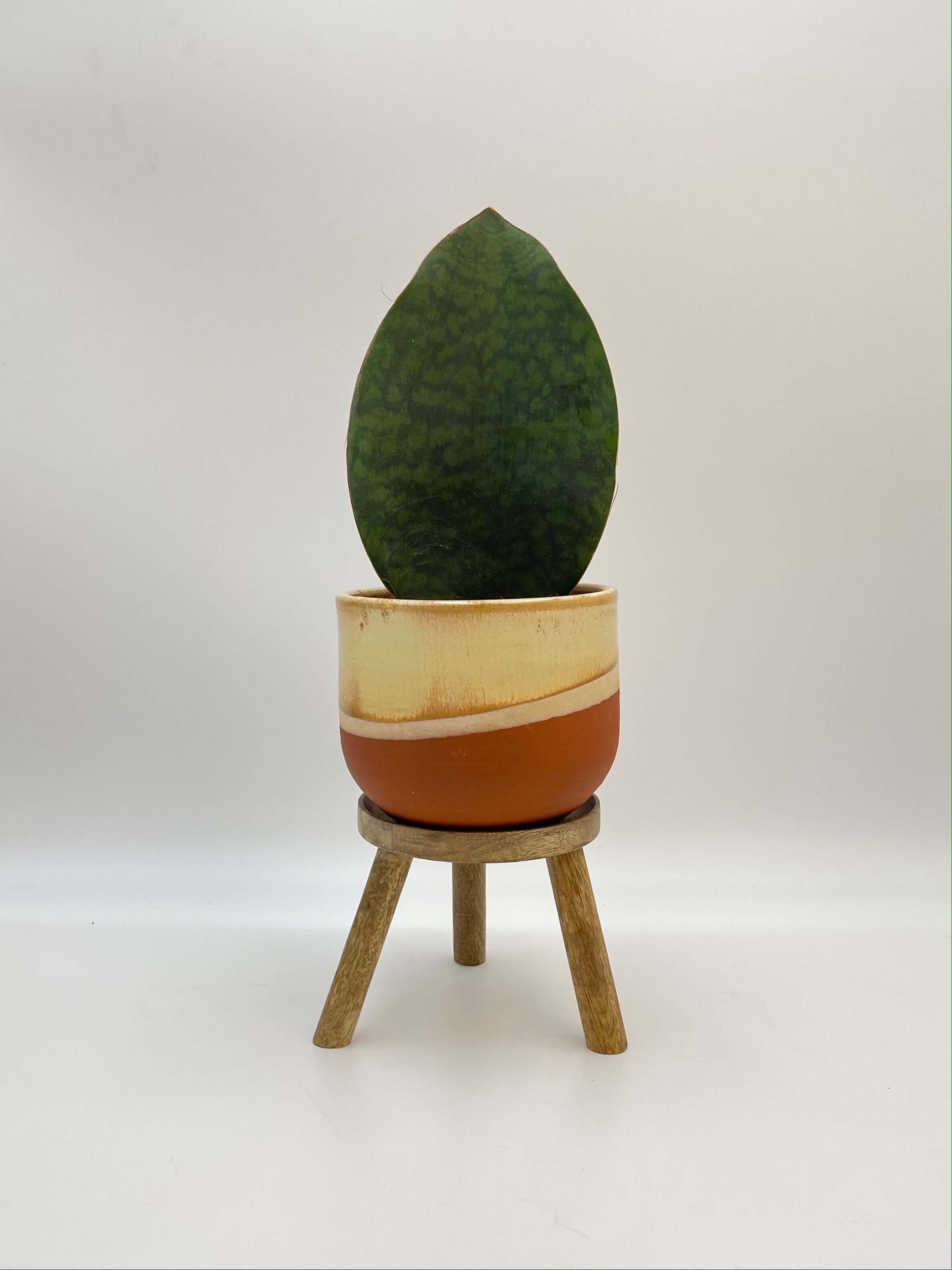 Wooden Plant Stand
