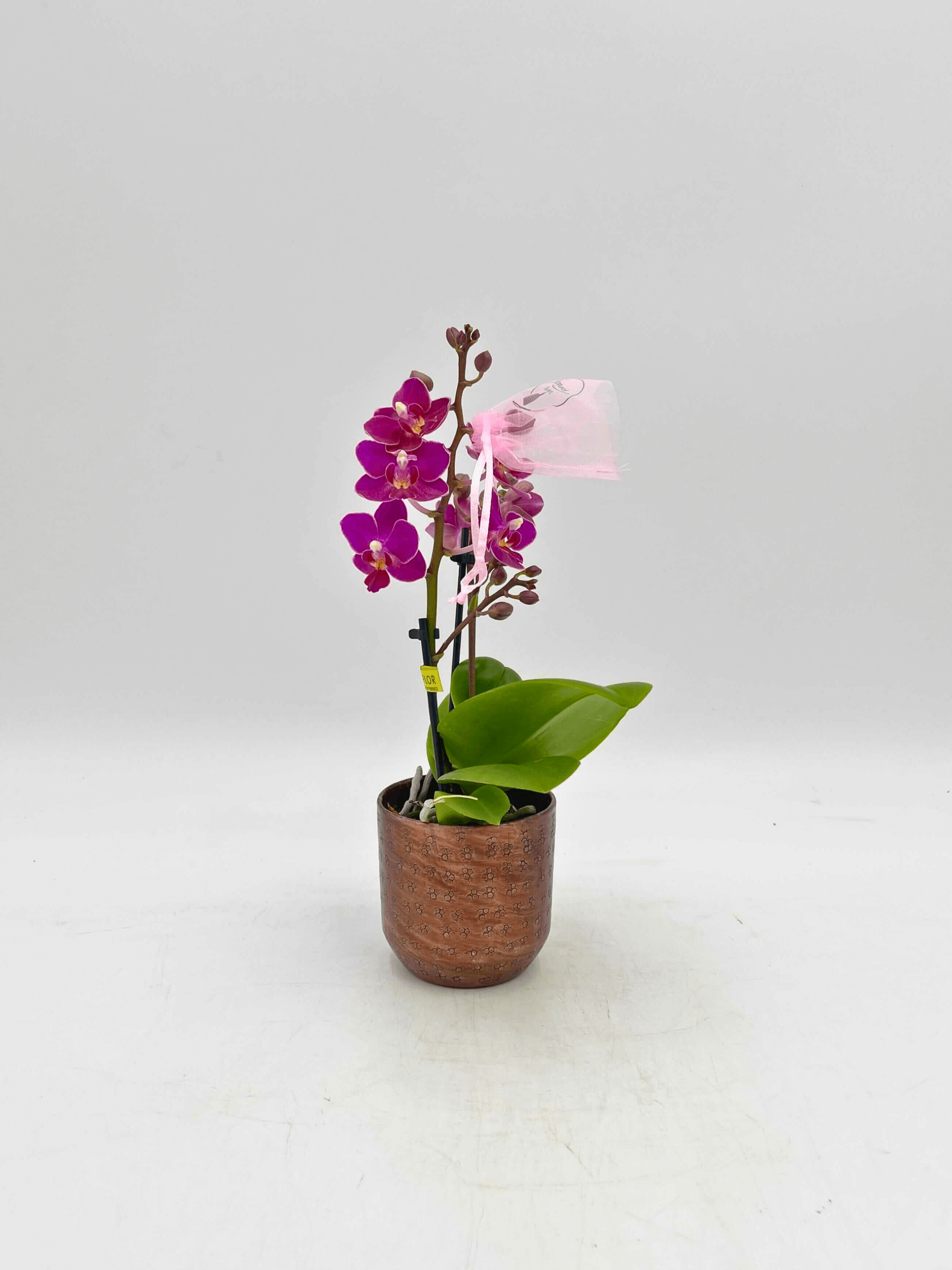 Ivan, Metal Plant Pots, Copper, 7cm - 8cm Small House Plant Pot