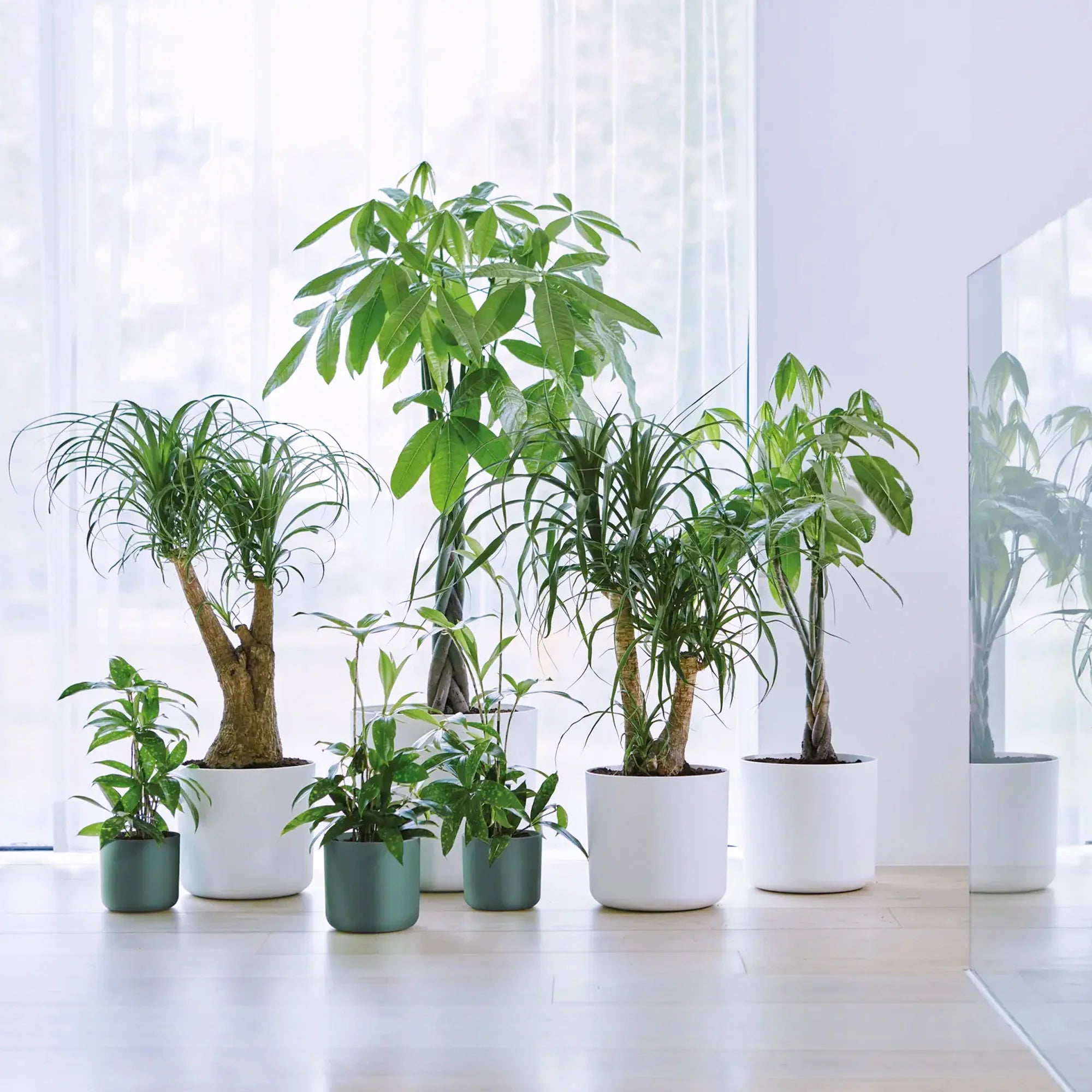 Elho B.For Soft, Leaf Green Plant Pots in Multiple Sizes, Eco-Friendly, Plastic