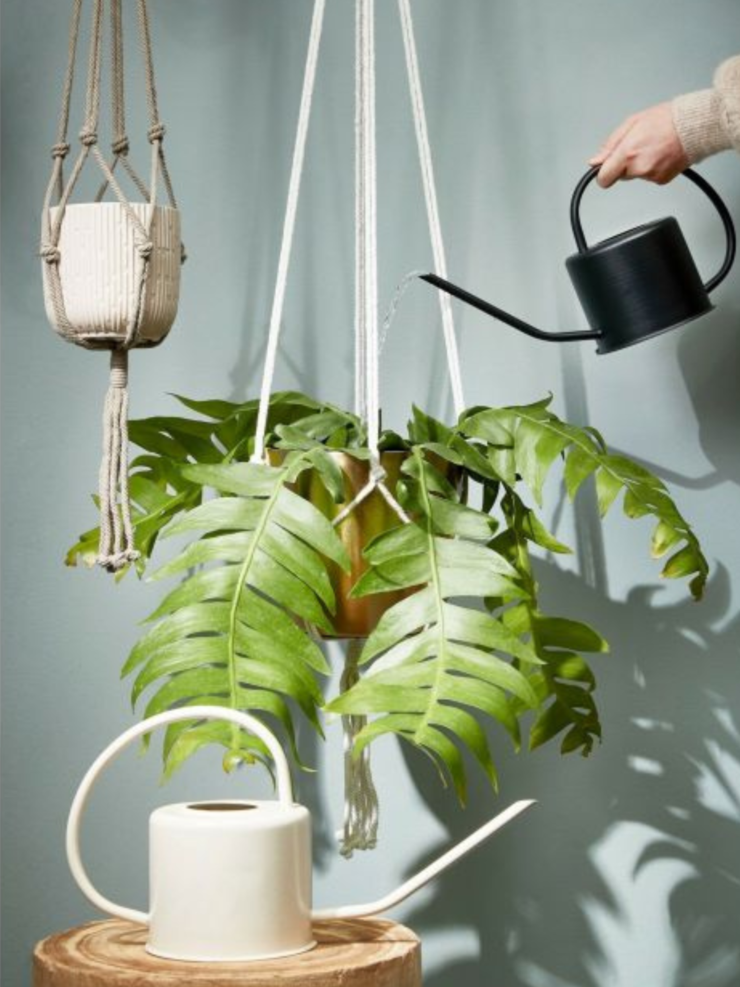 Ancho Black Metal Watering Can, 1,2L