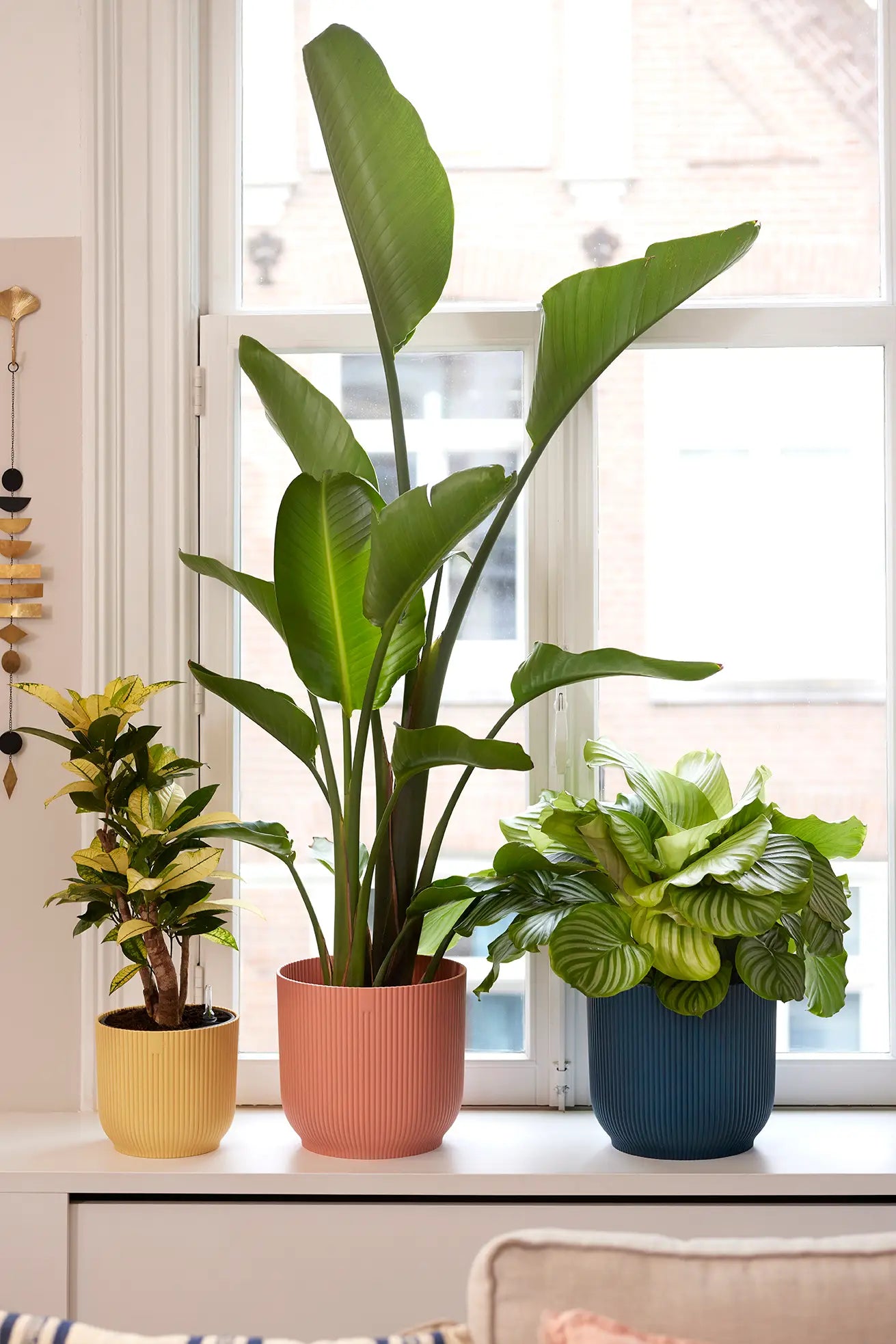 Elho B.For Soft, Pink Plant Pots in Multiple Sizes, Eco-Friendly, Plastic