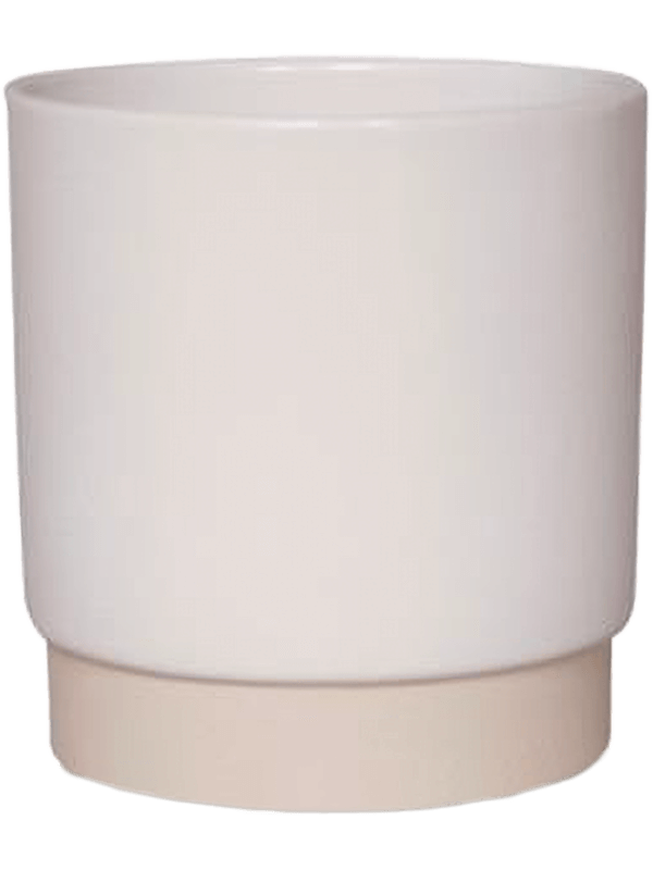 Eno White Ceramic Plant Pot | Modern Minimalist Design| Multiple Sizes