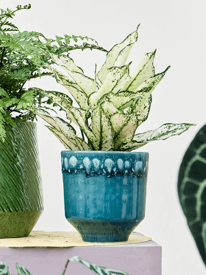 Handmade Otis Plant Pot, D16cm, Petrol Blue