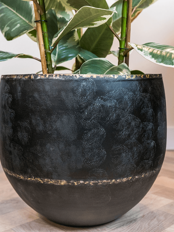 Belia Plant Pot, Vintage Black, Multiple Size
