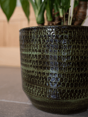 Sanna, Handmade Ceramic Plant Pots, Green, House Plant Pot in Multiple Sizes