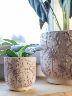 Emilia Ceramic Plant Pots, Pink, Handmade