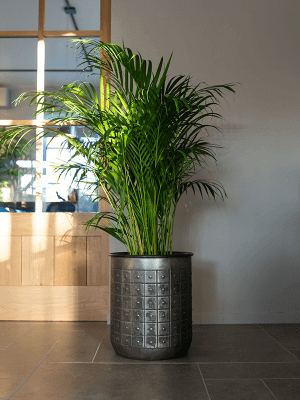 Tobi Large Metal Plant Pots, Lead, Handmade